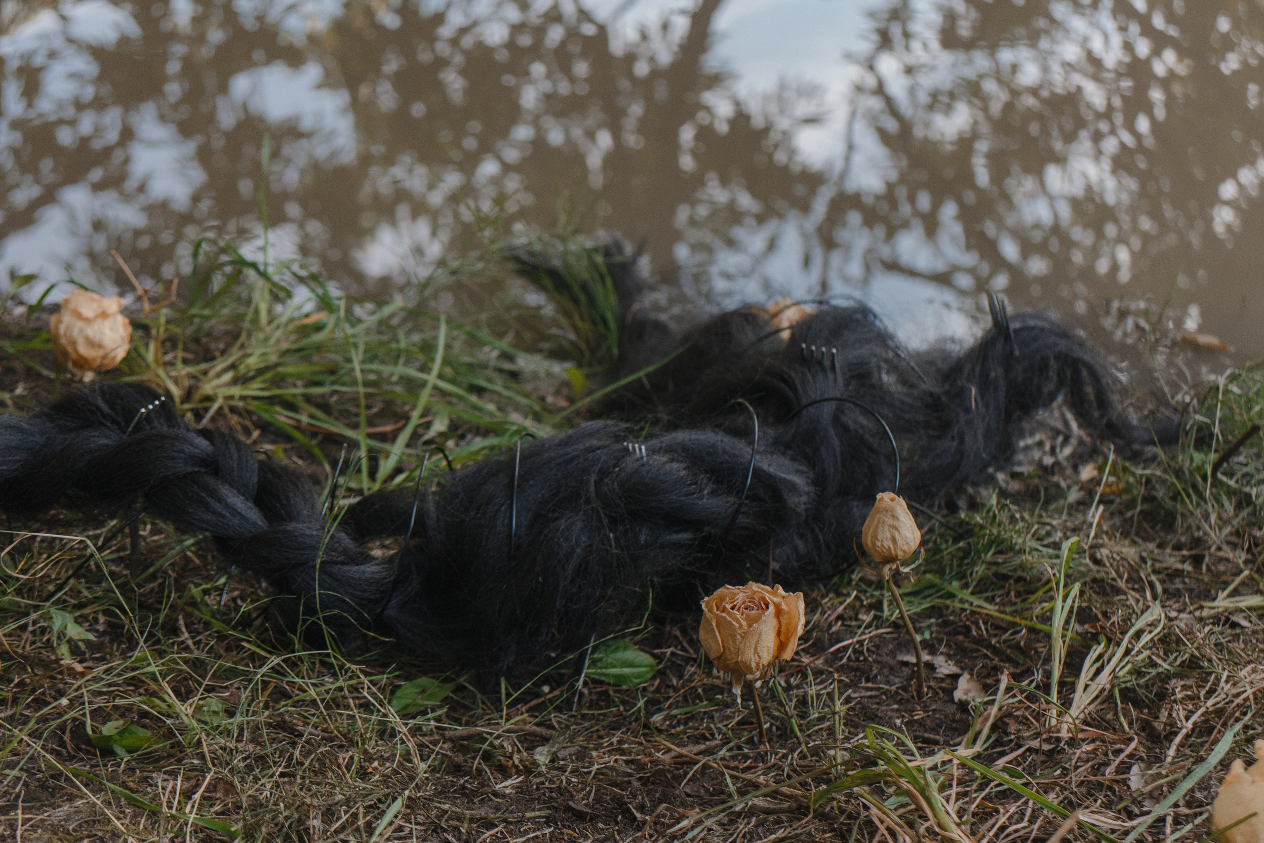 В одну реку дважды. Ирина Петрова. Современный художник
