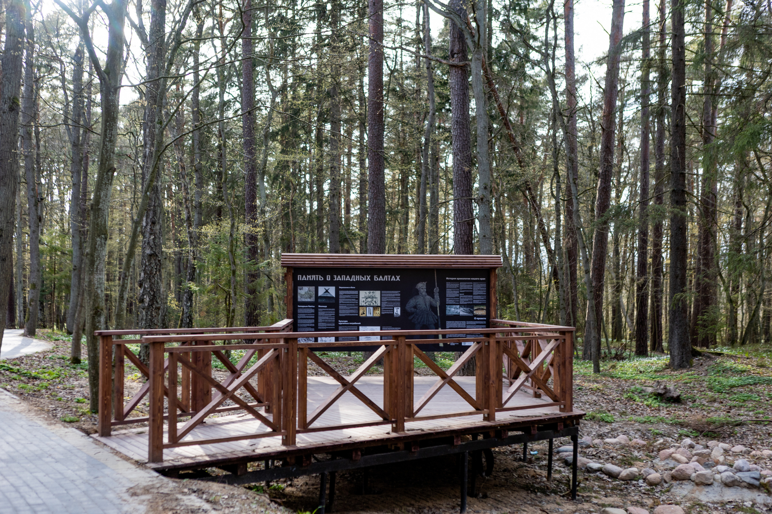 Незаурядное Отрадное. AI-контент (генерации ИИ-фото и видео), стоковые фотографии Калининградской области