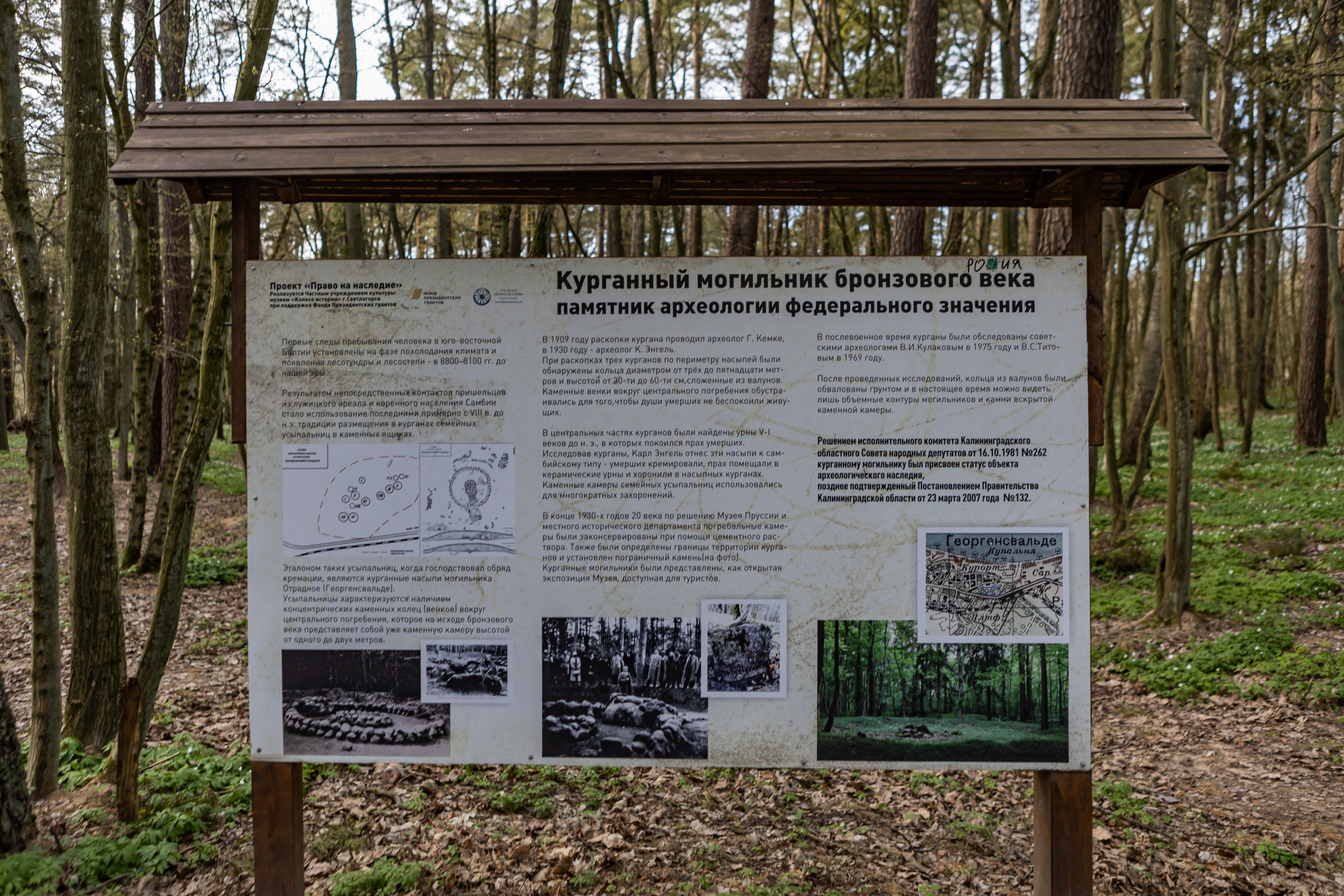 Незаурядное Отрадное. AI-контент (генерации ИИ-фото и видео), стоковые фотографии Калининградской области