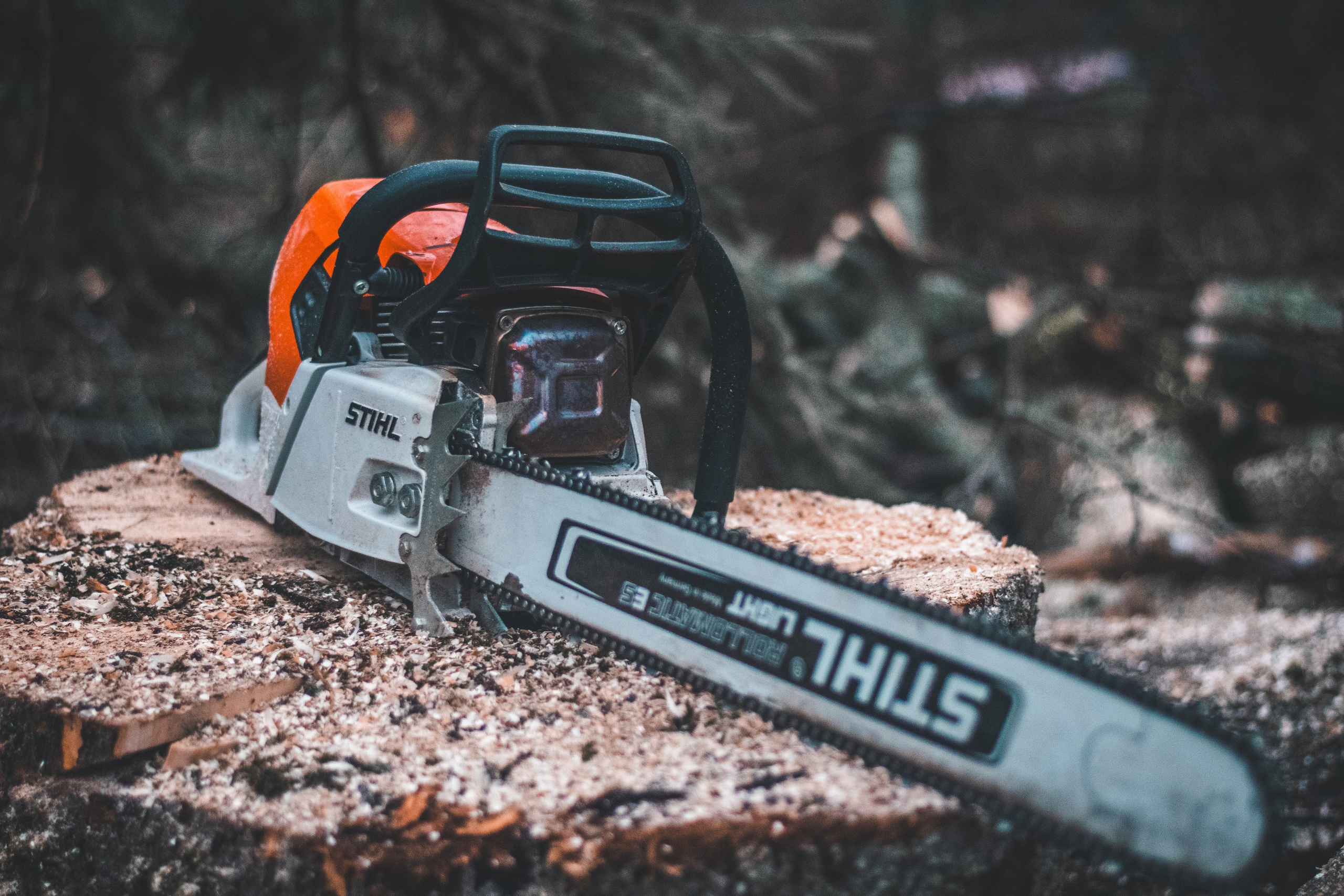 Контакты. Аrbori Culturist