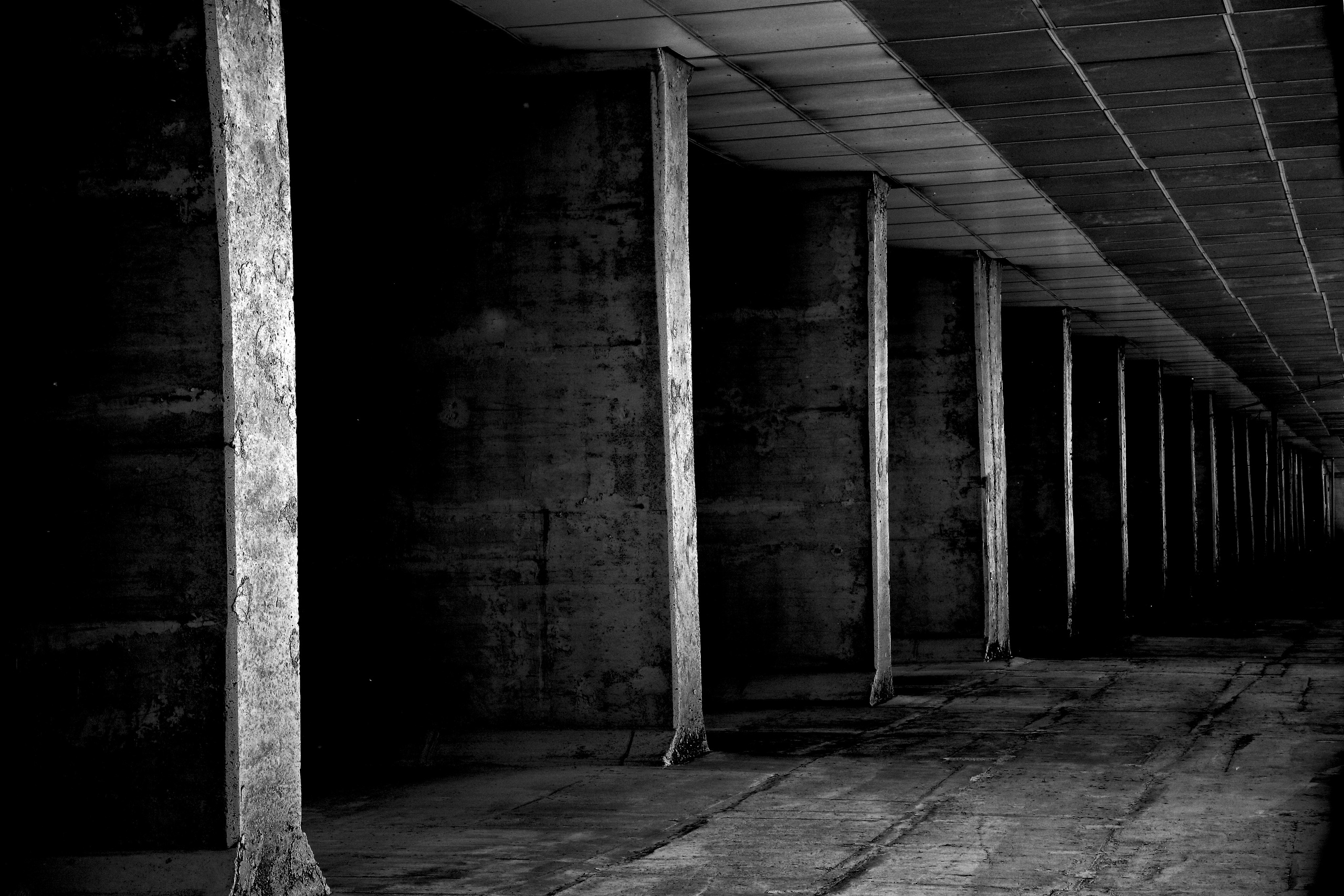 Чёрно-белая фотография: бетонные колонны в заброшенном здании, индустриальный минимализм, перспектива коридора, тени и свет