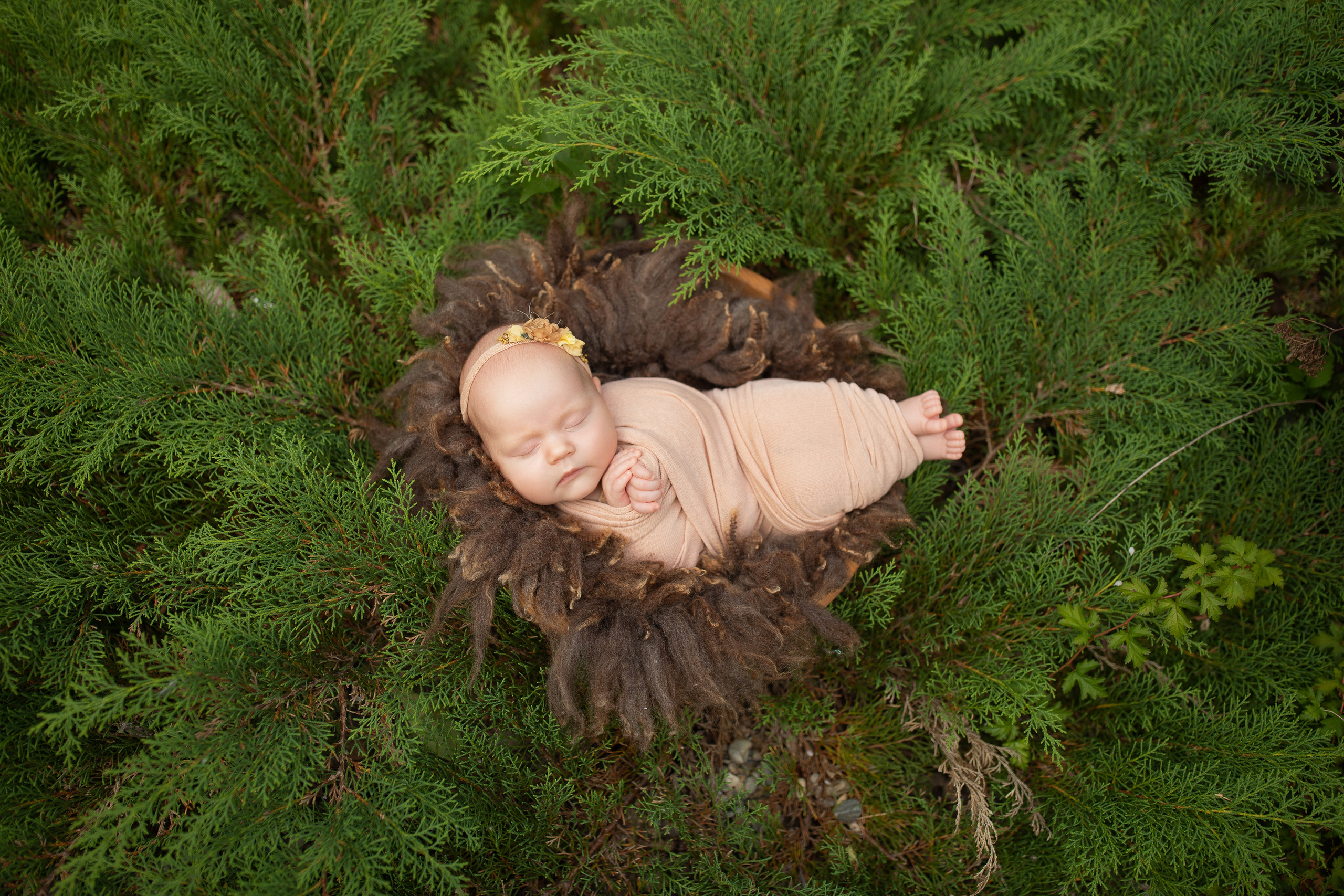 Фотосъемка младенцев Хабаровск, фотосессия новорожденных Хабаровск, фотосессия newborn Хабаровск, фотограф перинатальный центр хабаровск