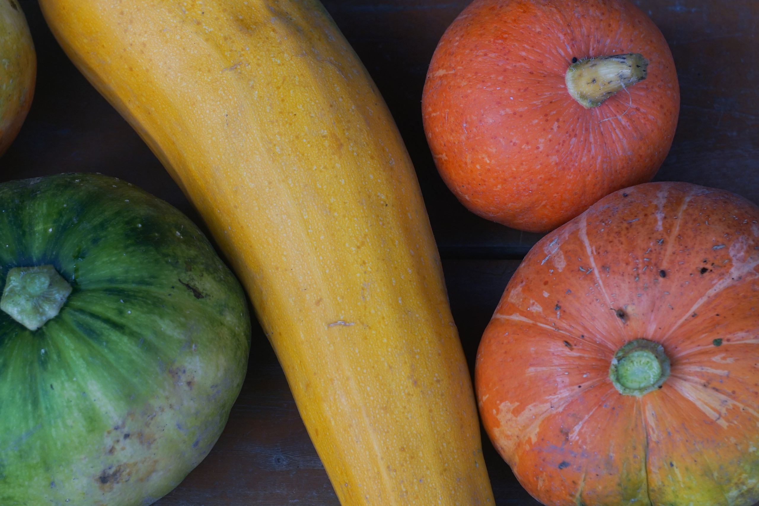 Вдохновение. Фотограф Софья Горбунова