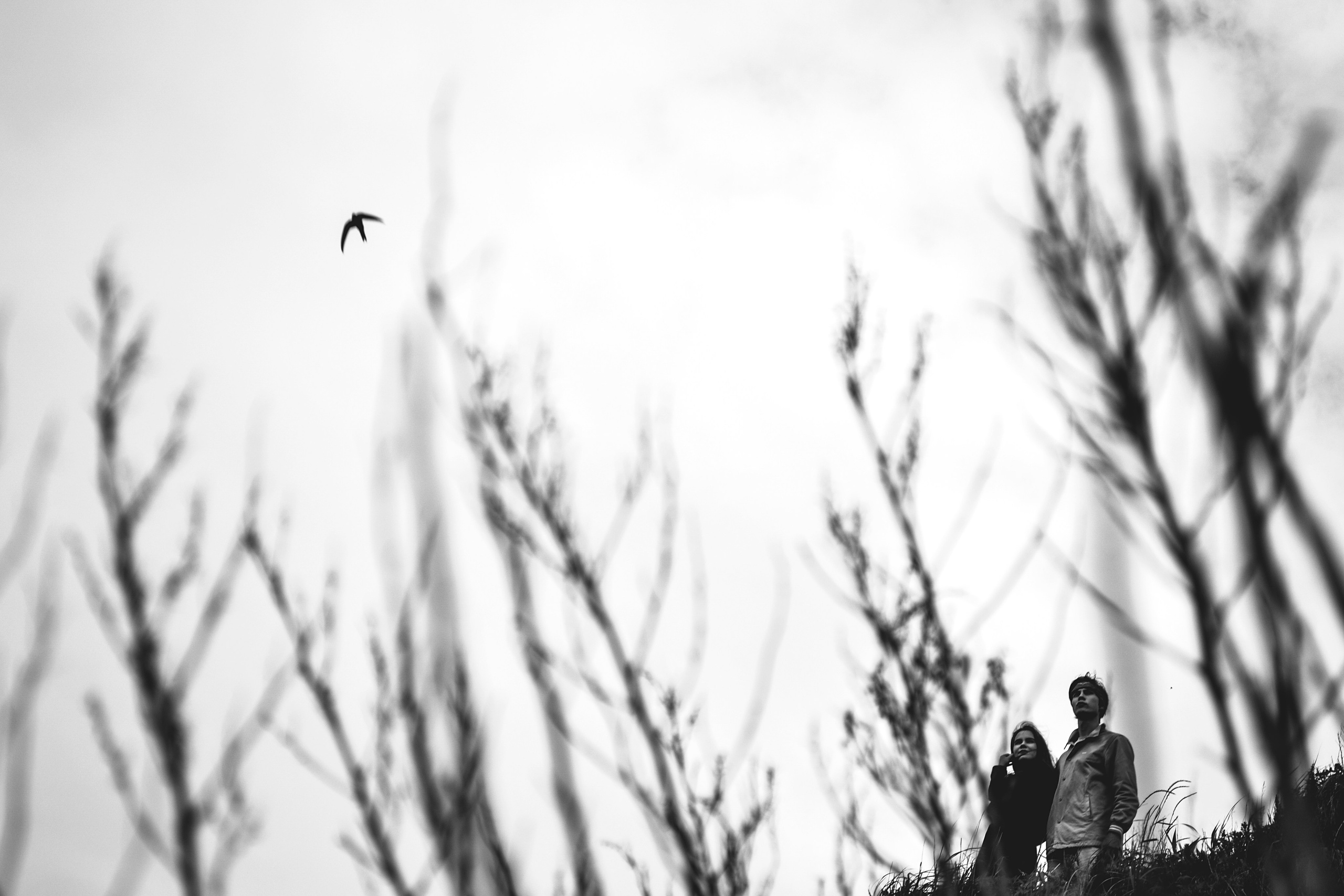 Дарья Пянзина | междисциплинарная художница