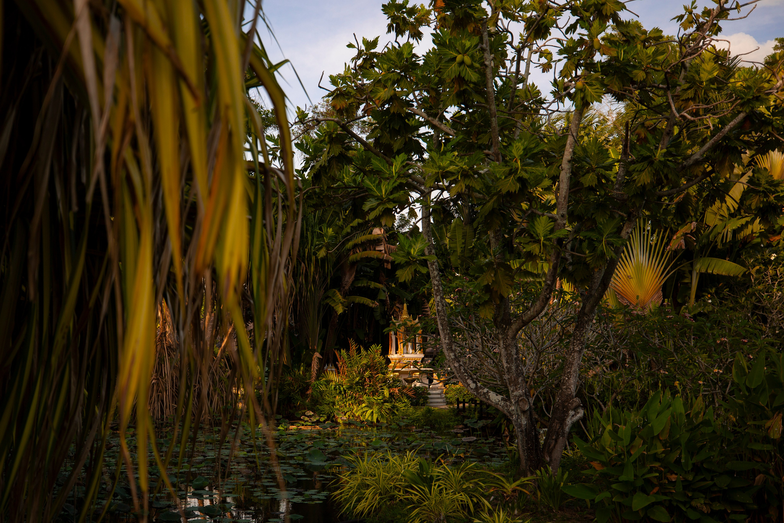 Таиланд. Фотограф Даша Омельченко