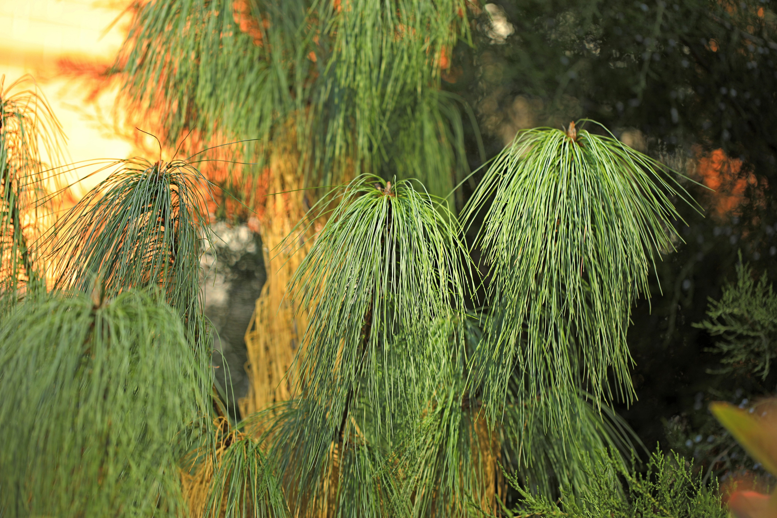 Контакты. Фото-художник и Репортажный фотограф Николаев Александр Алексеевич