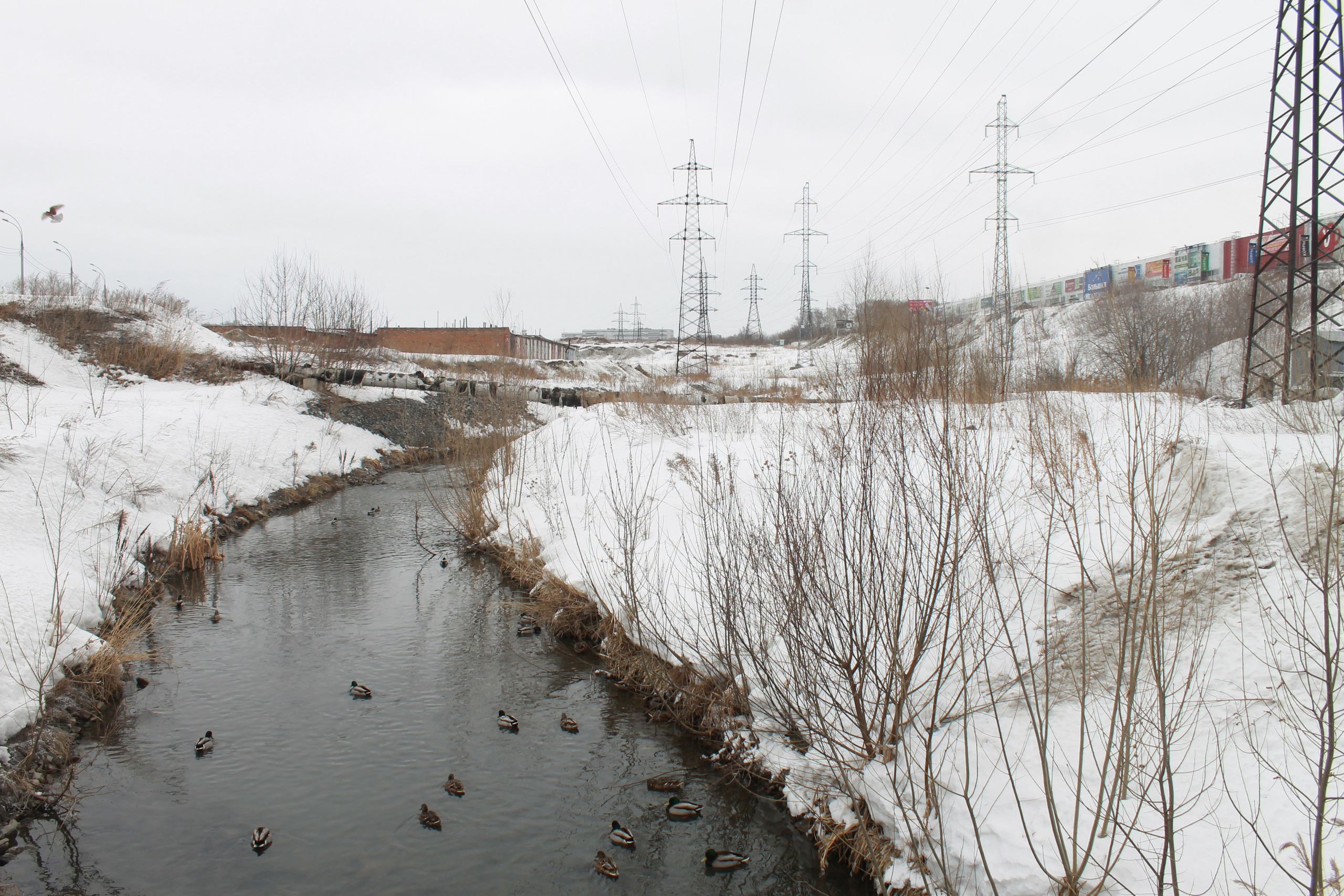 Старенькие дети: Лариса. Юлия Алтухова, мультимедиа художница