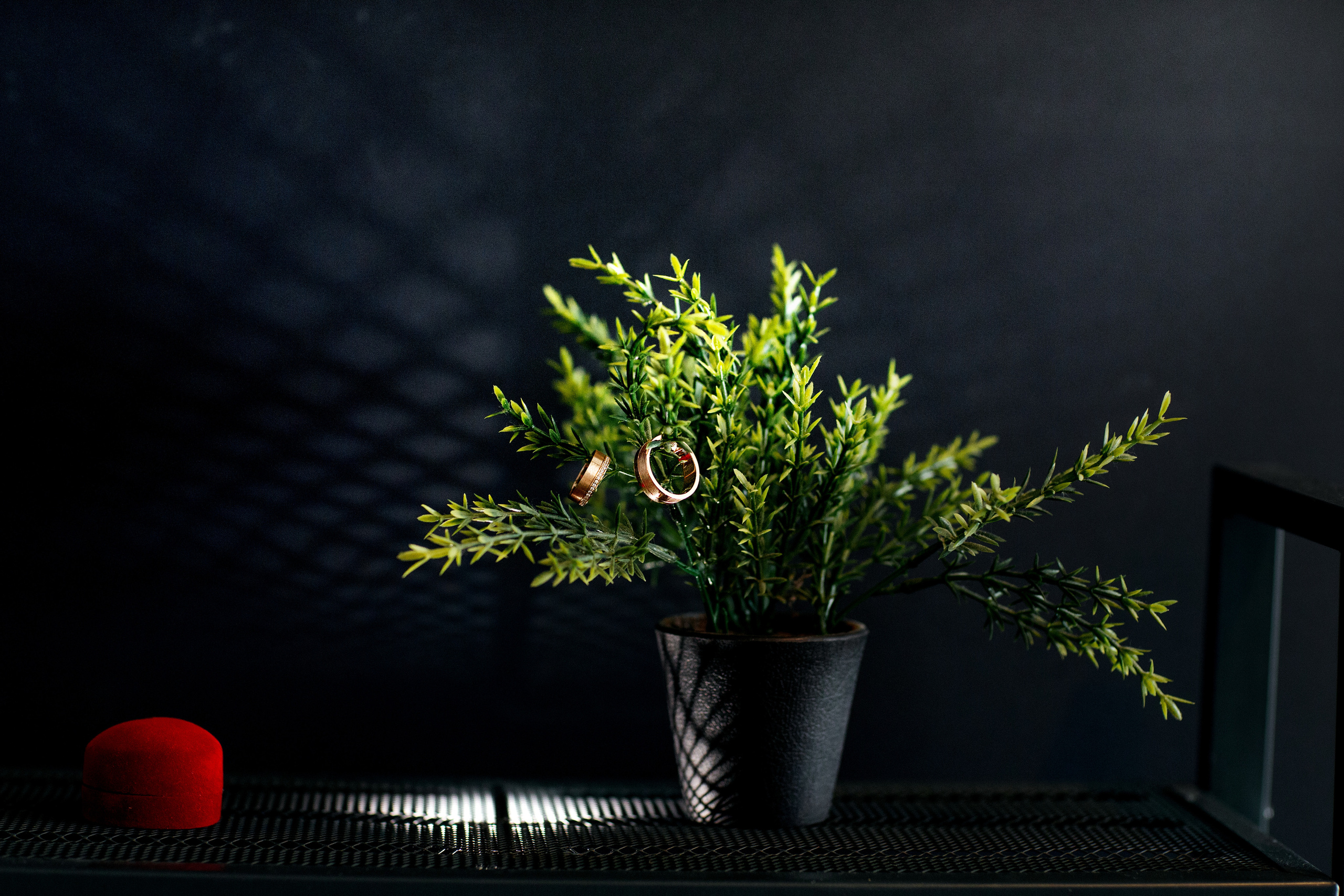 Яркая свадебная фотосессия зимой