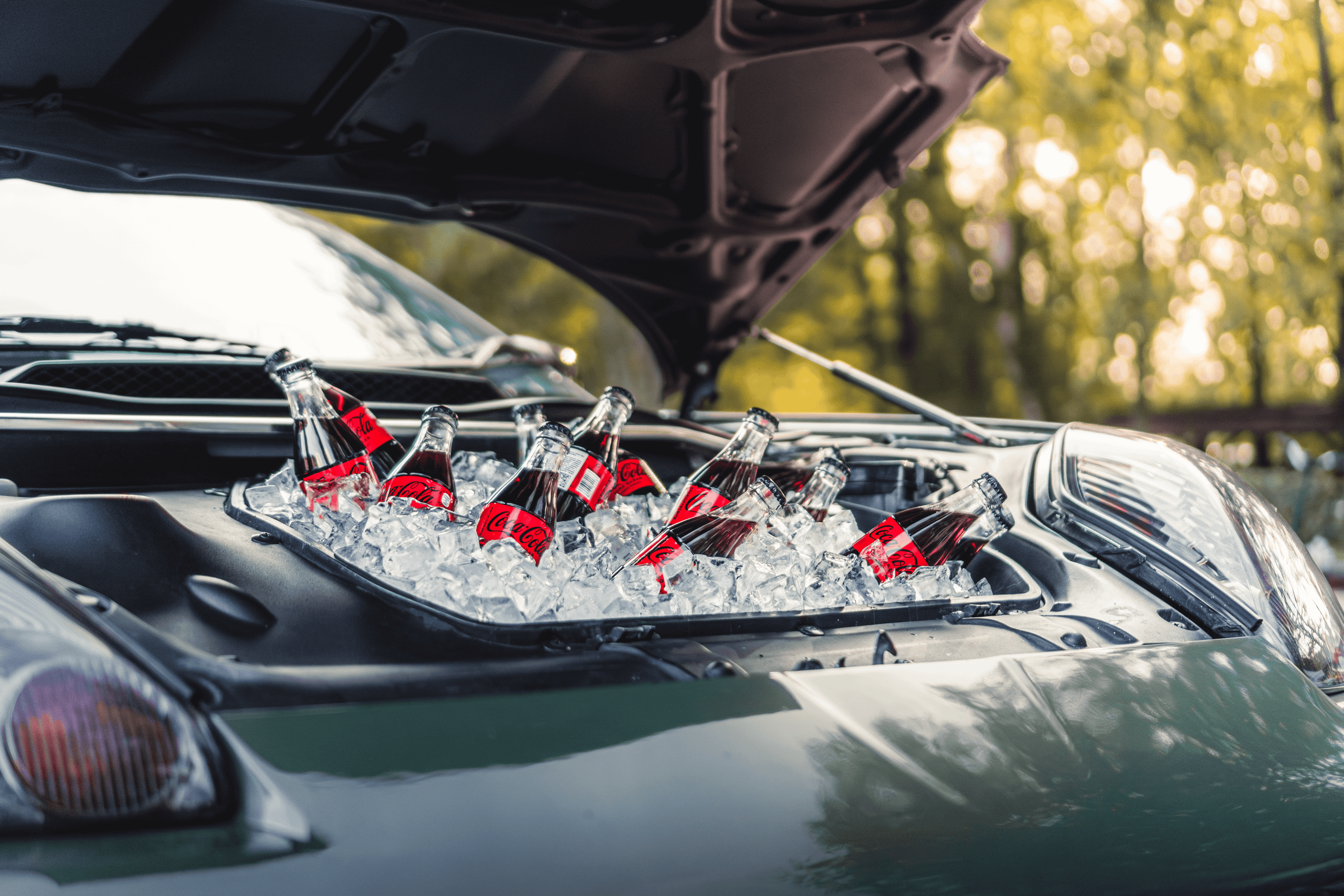 Samovar Meet: солнечный миг уходящего сезона