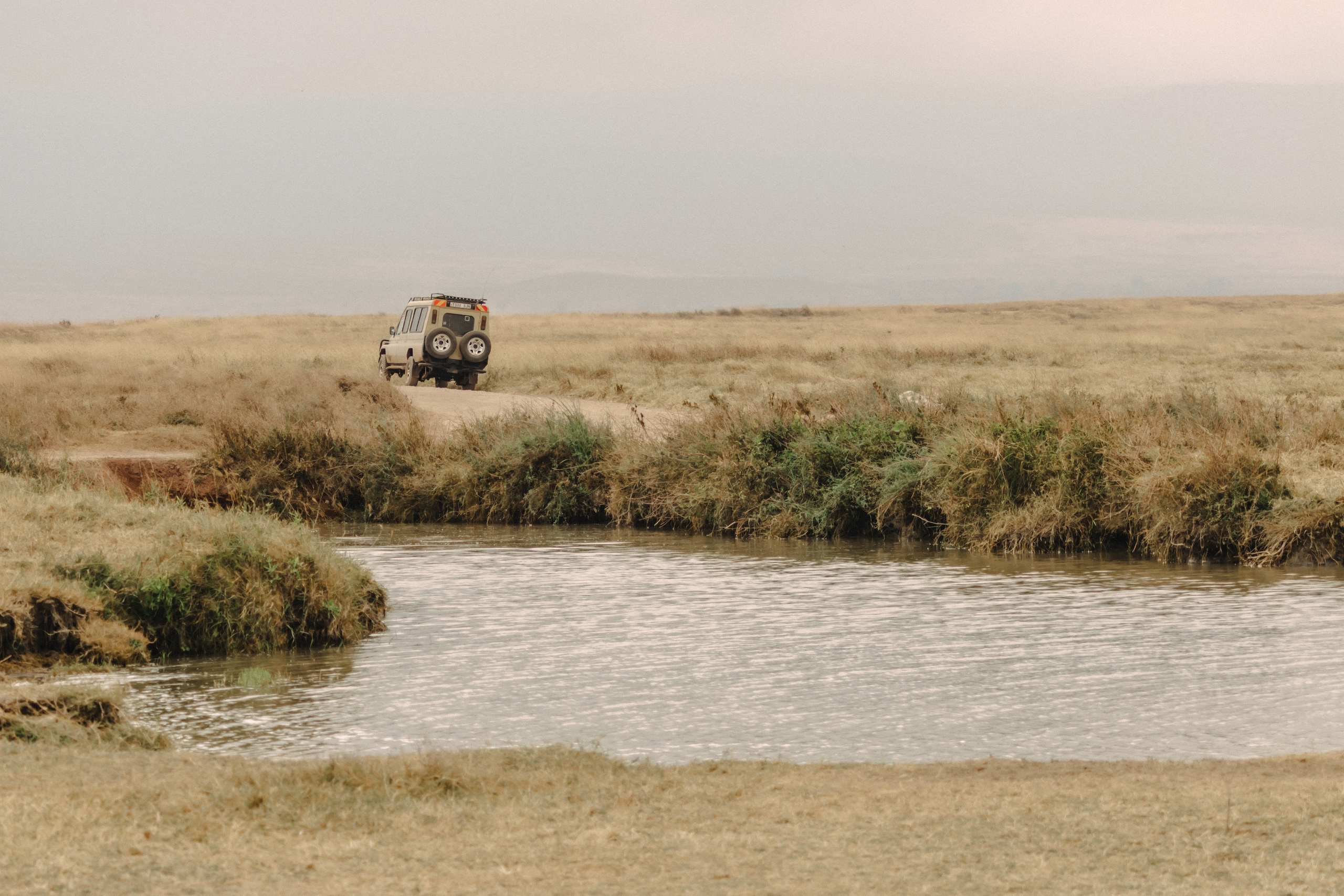 Фотограф Николай Шевченко
