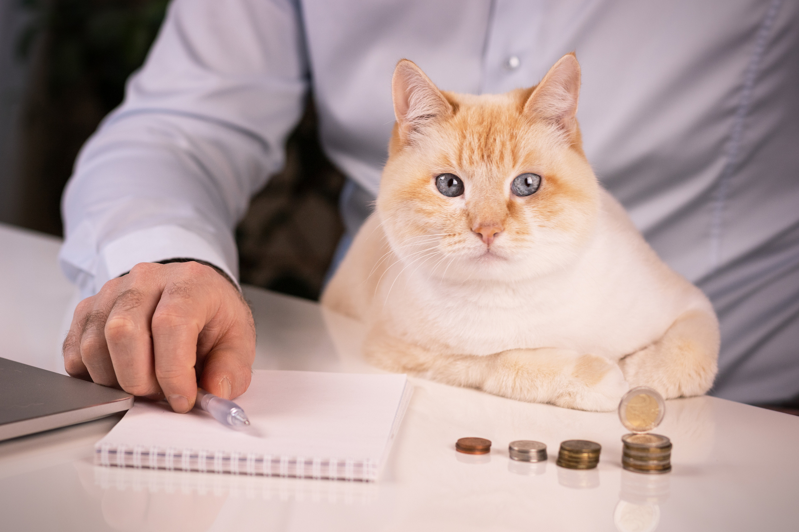 Услуги и цены (kontent). Портретная и индивидуальная фотосъёмка в Граце и Тюмени