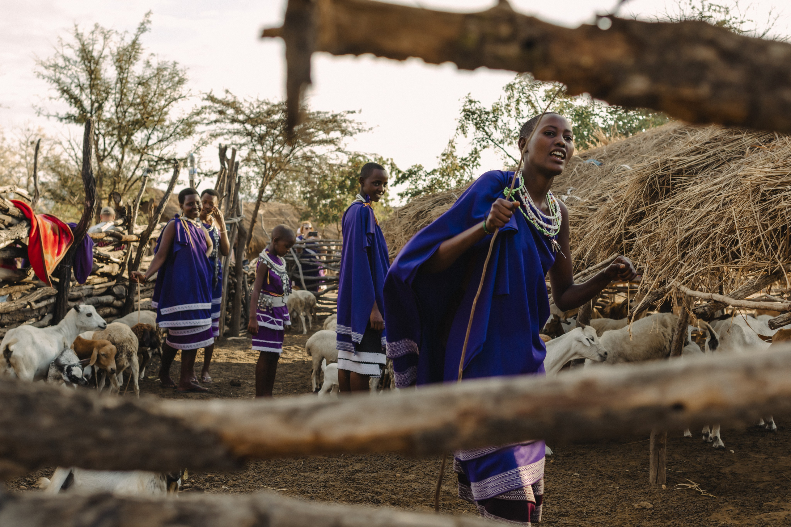 Фотограф Николай Шевченко