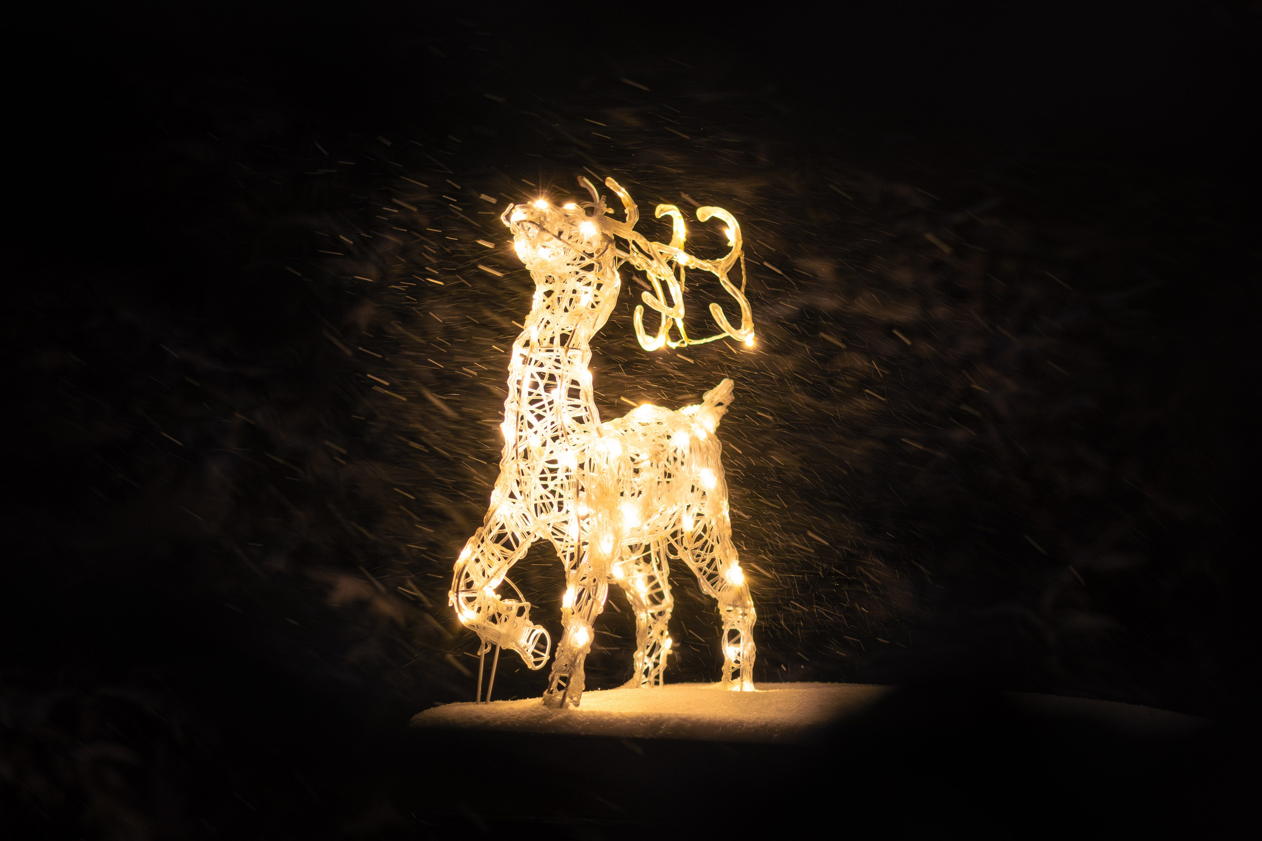 Фотограф Николай Шевченко