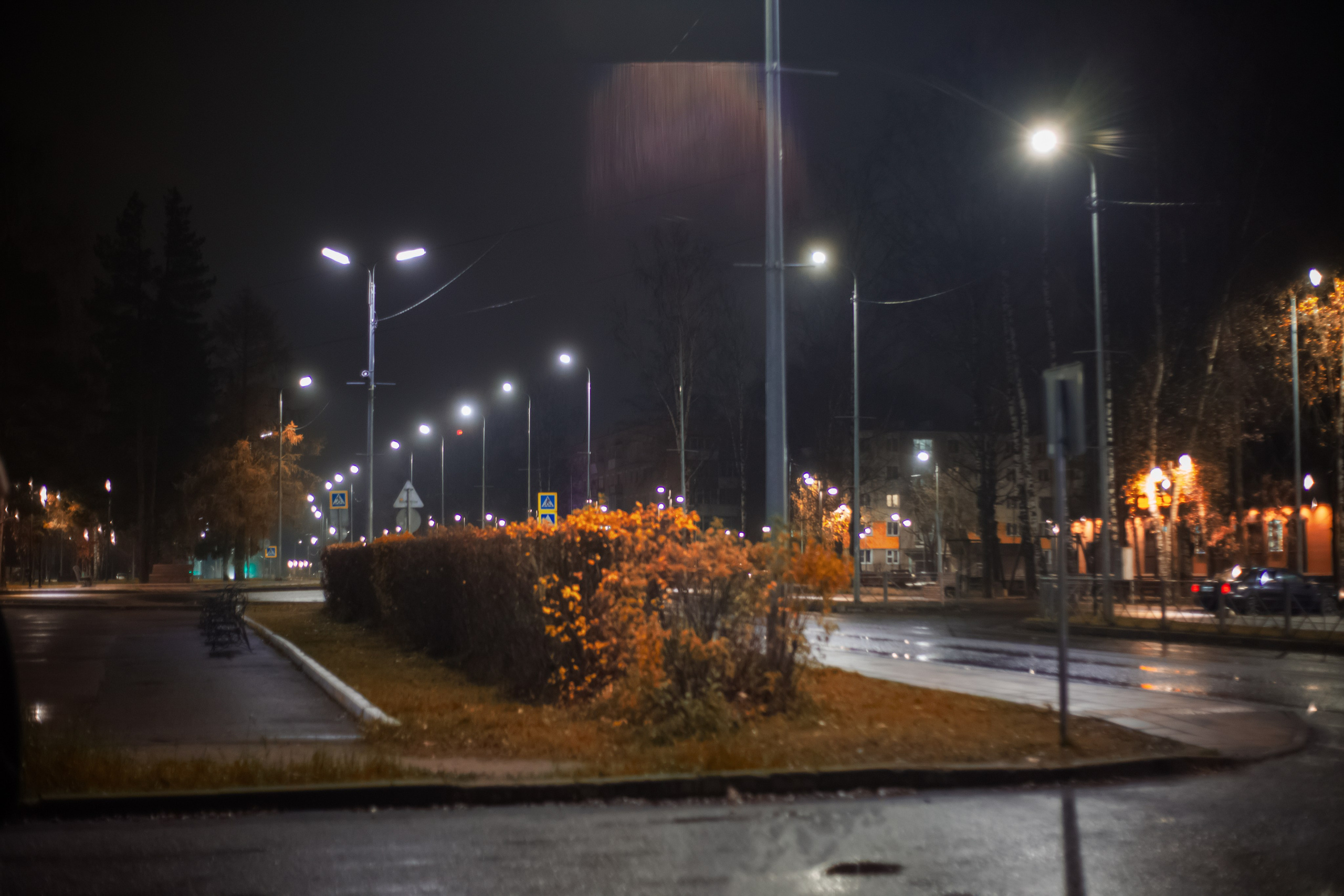 Событийный фотограф в Пушкино Светлана Мусатова