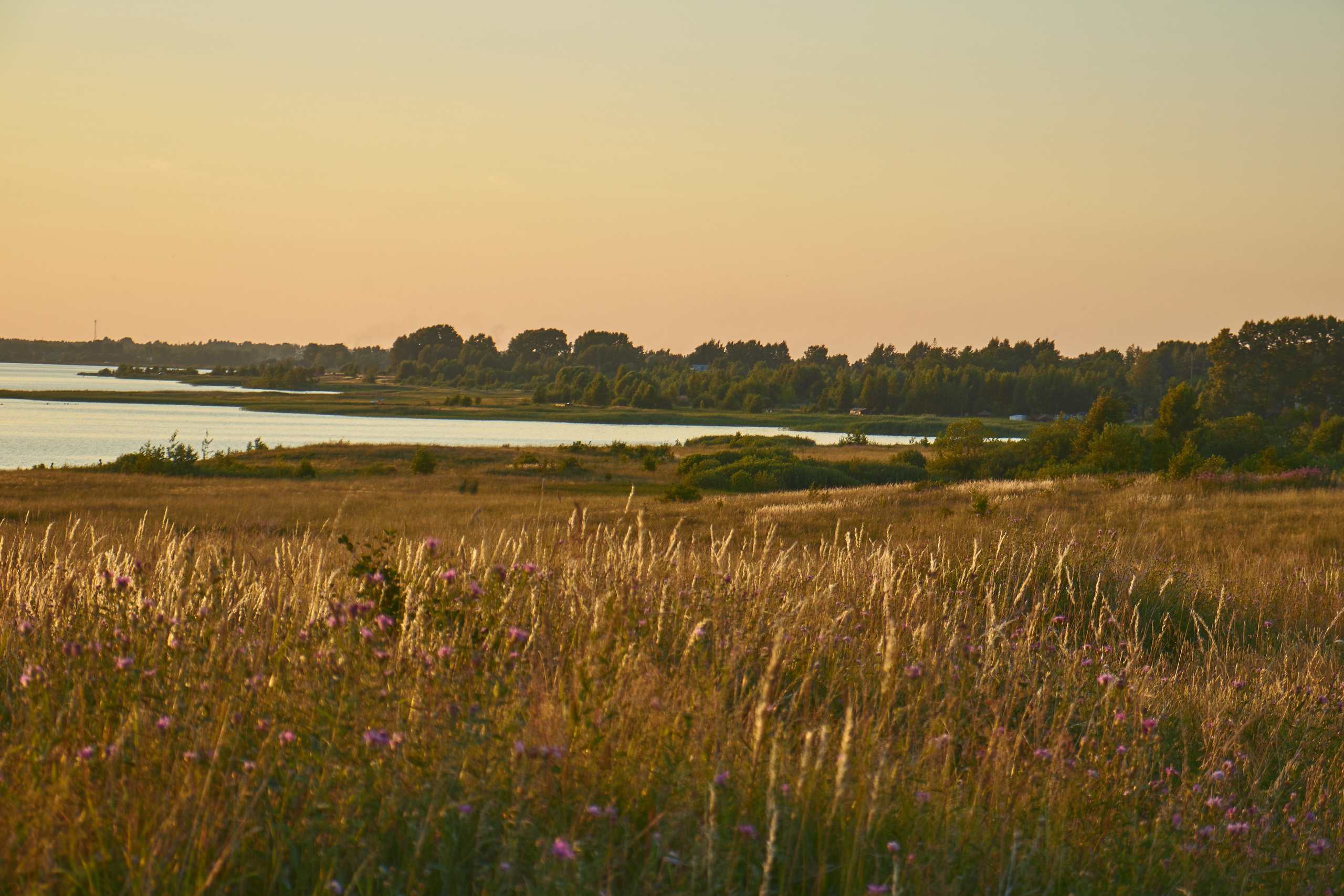 夏季在维什尼沃洛乔克 – 捕捉大自然四季的摄影系列