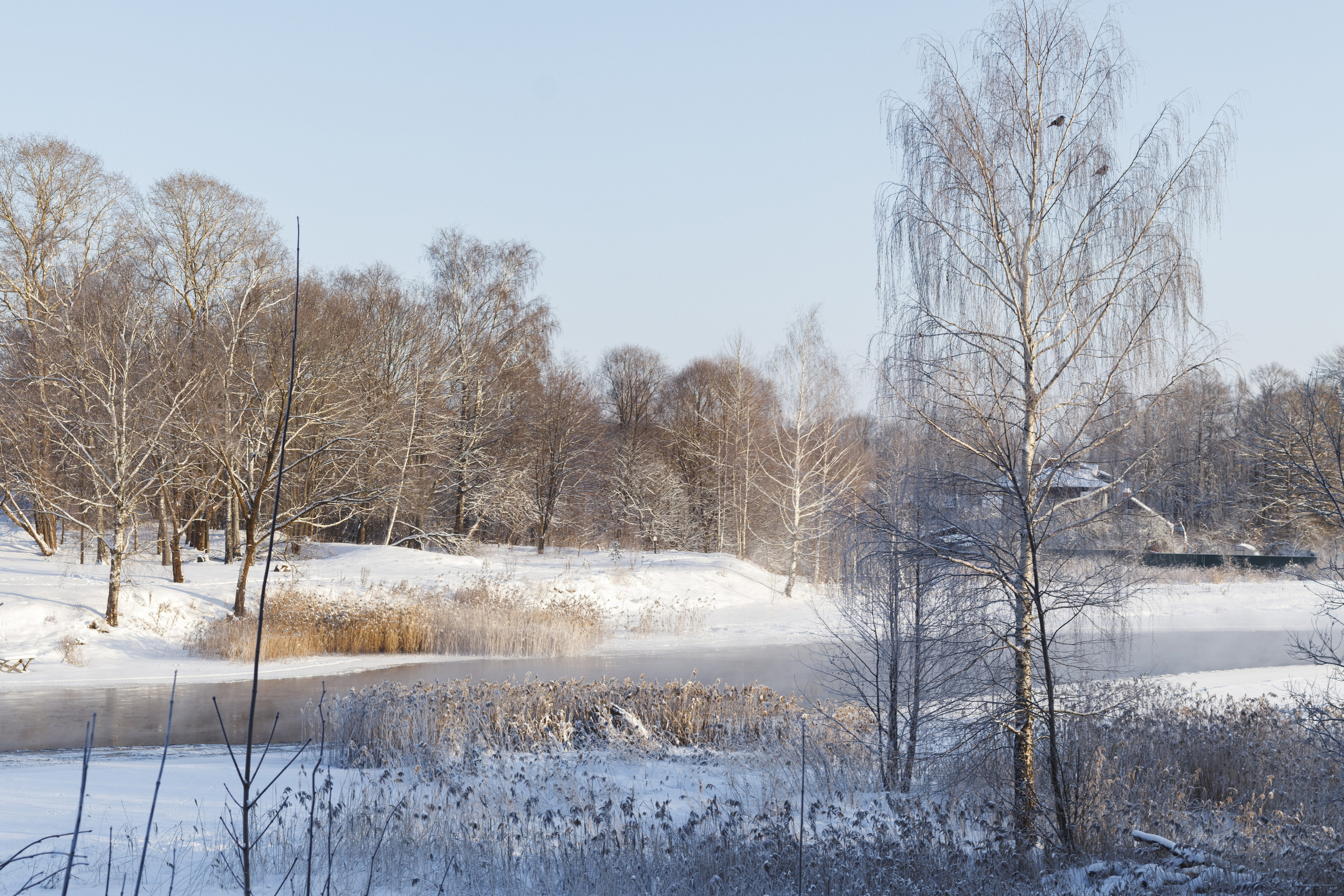 Winter in Vyshny Volochyok – Artistic Photography of Snowy Landscapes