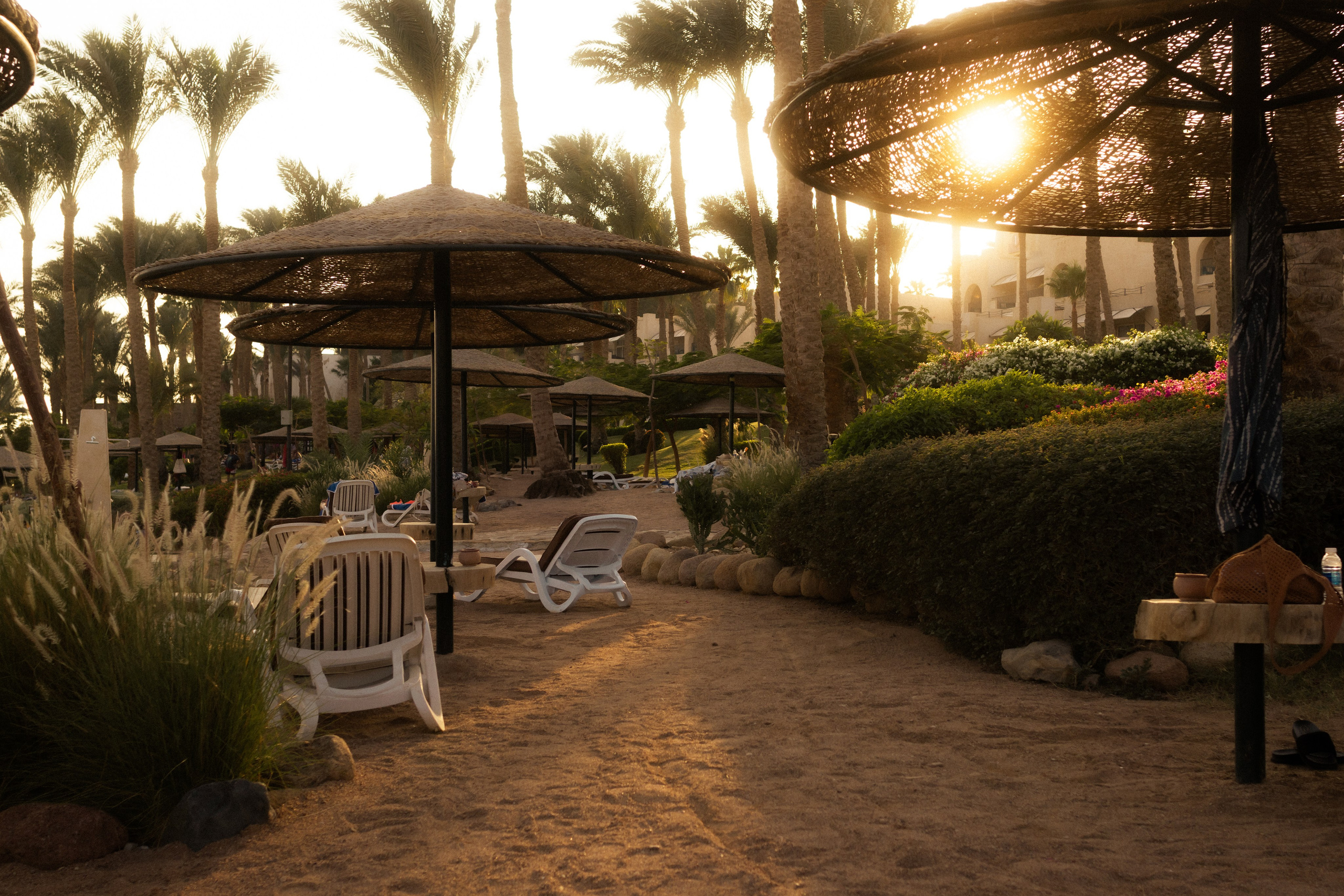 Фотограф Николай Шевченко