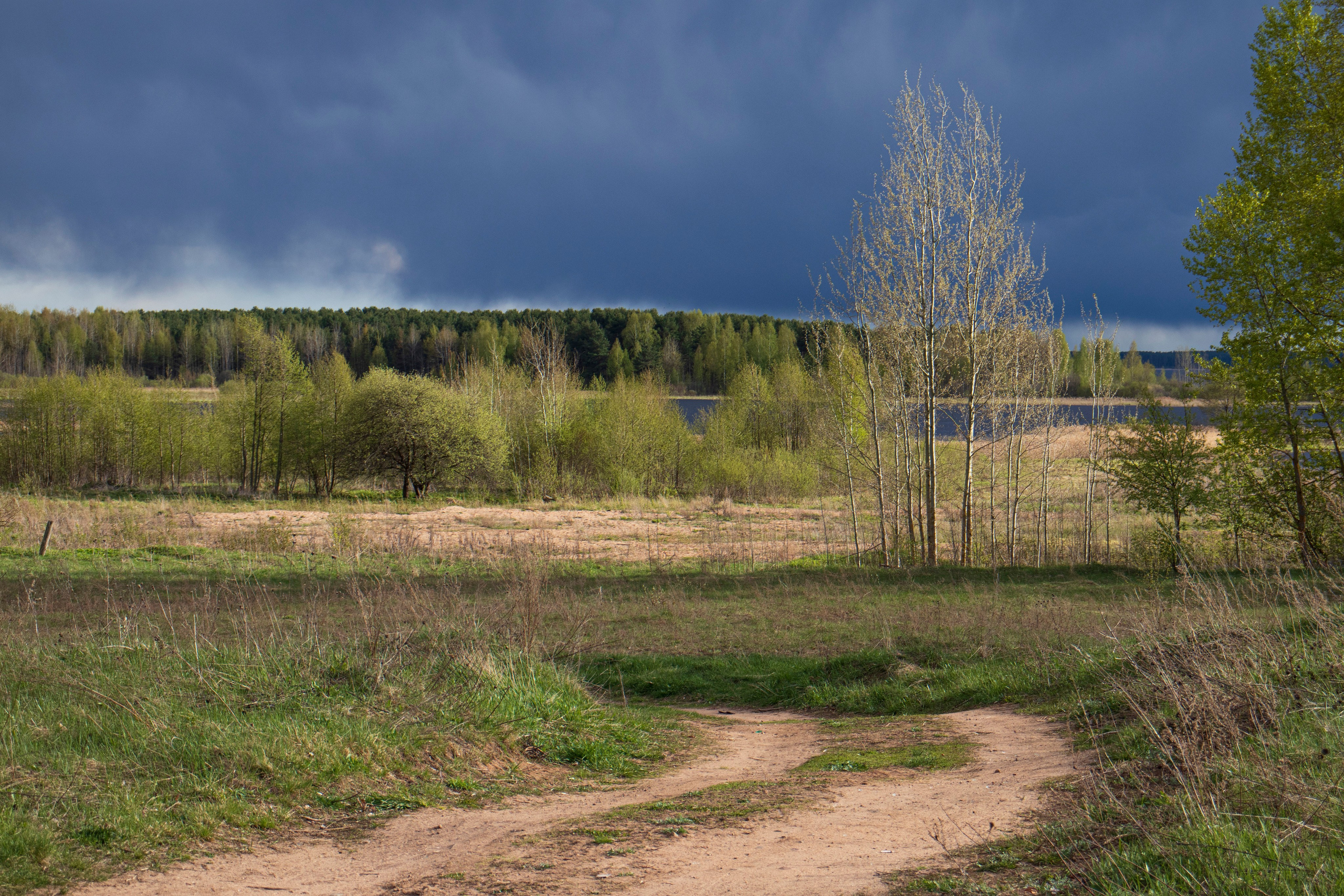 夏季在维什尼沃洛乔克 – 捕捉大自然四季的摄影系列