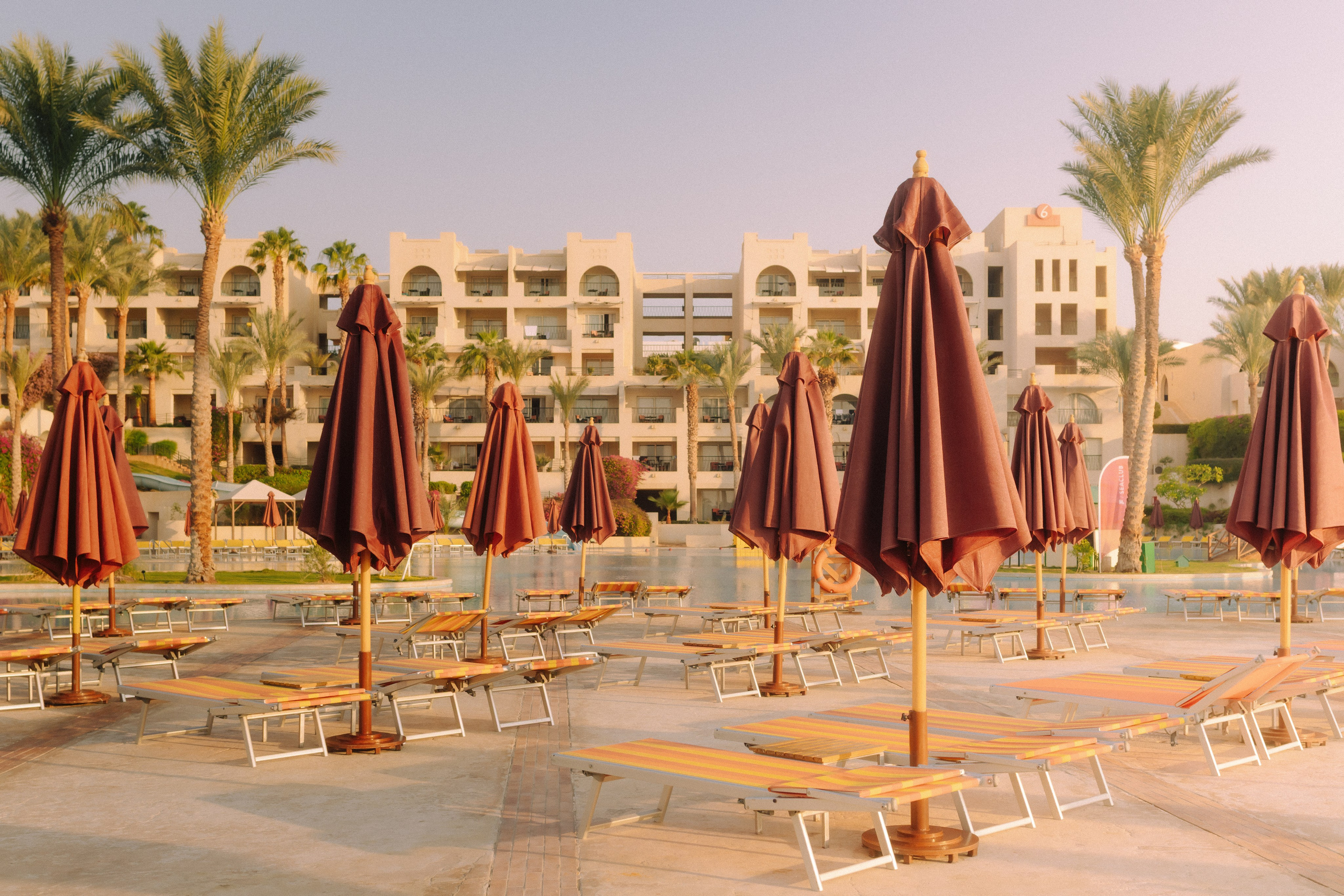 Фотограф Николай Шевченко