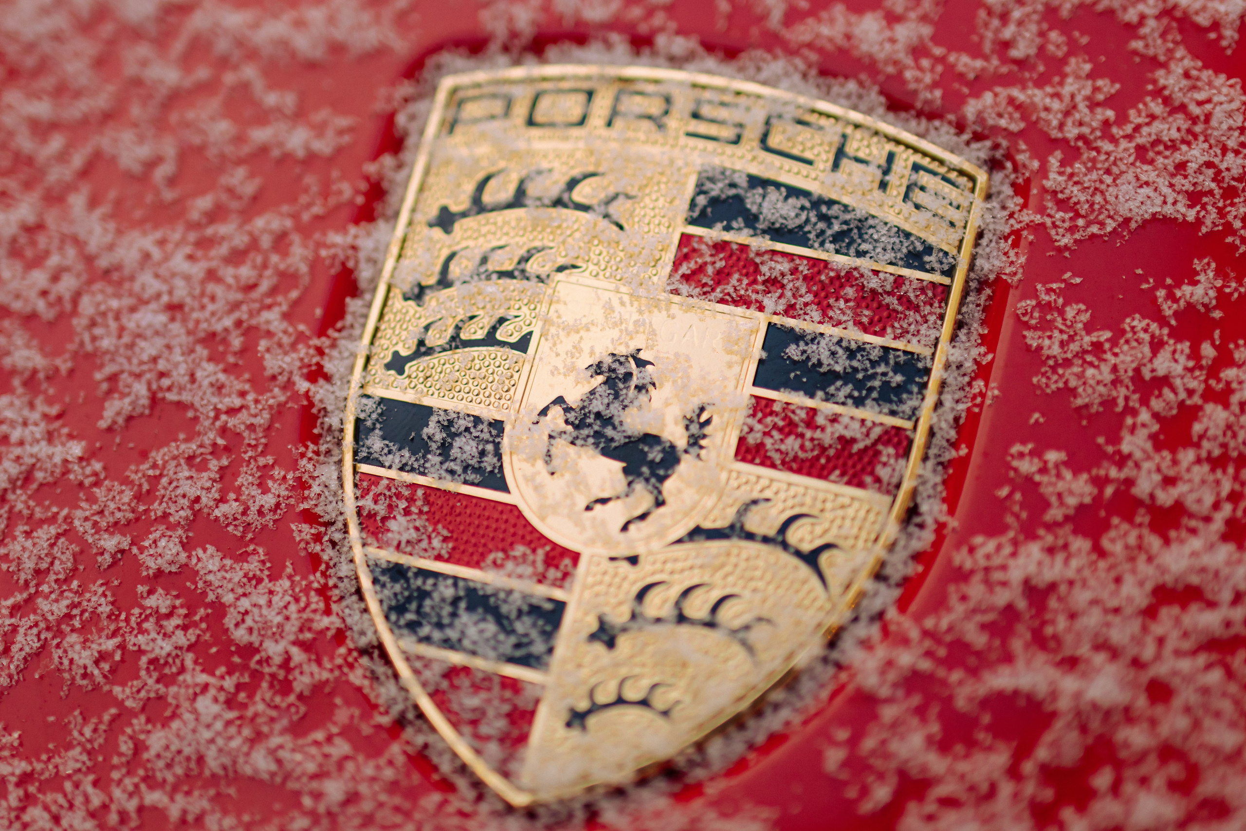 Фотограф Николай Шевченко