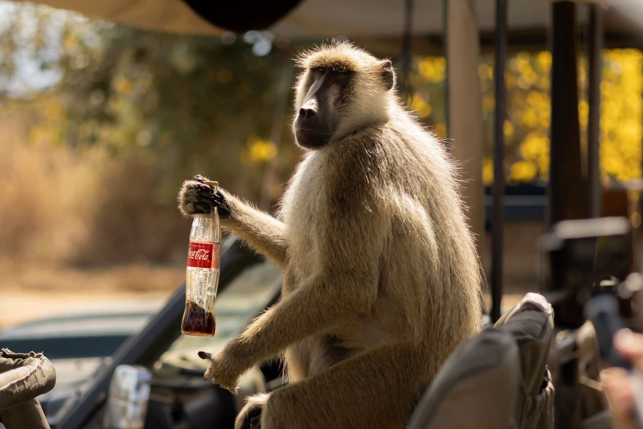 Фотограф Николай Шевченко