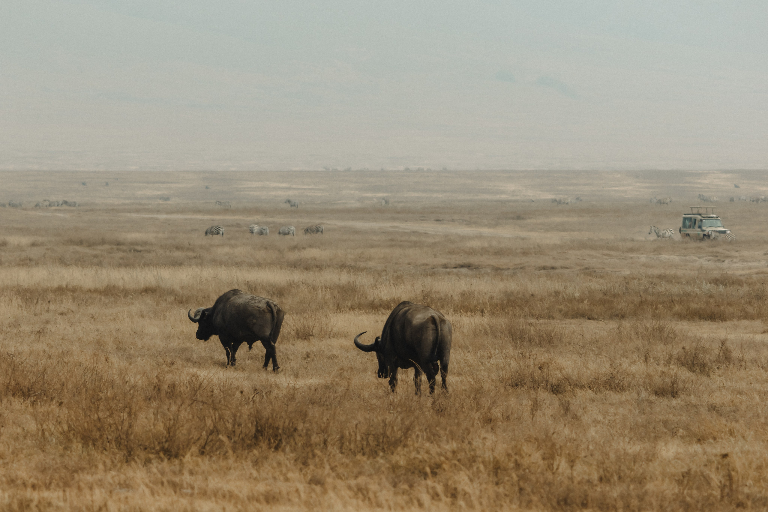 Фотограф Николай Шевченко