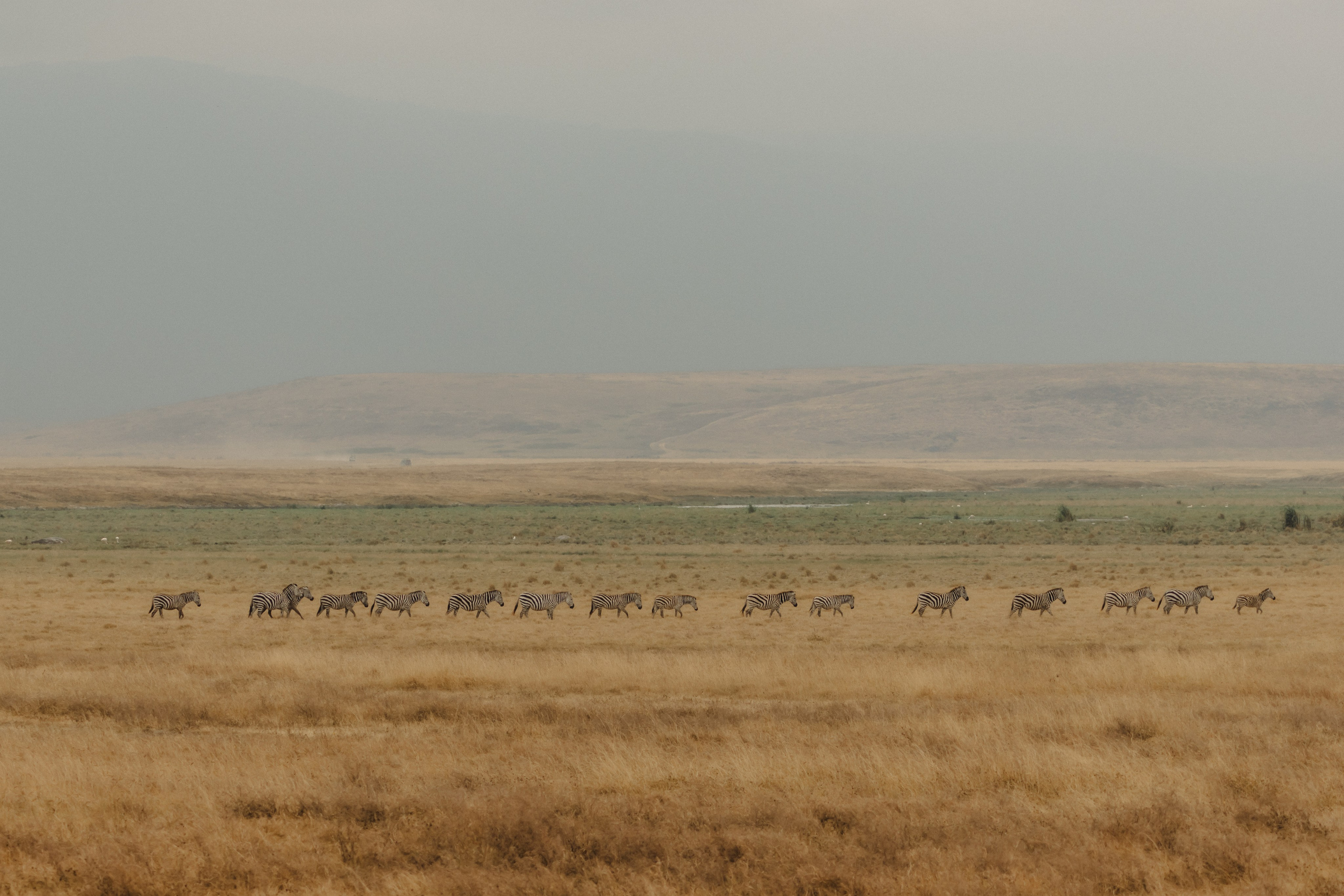 Фотограф Николай Шевченко