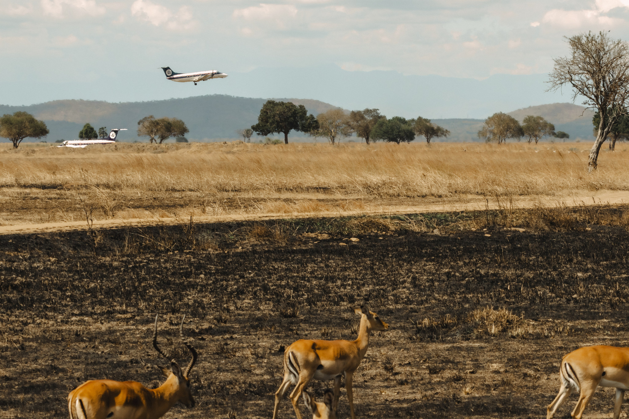 Фотограф Николай Шевченко