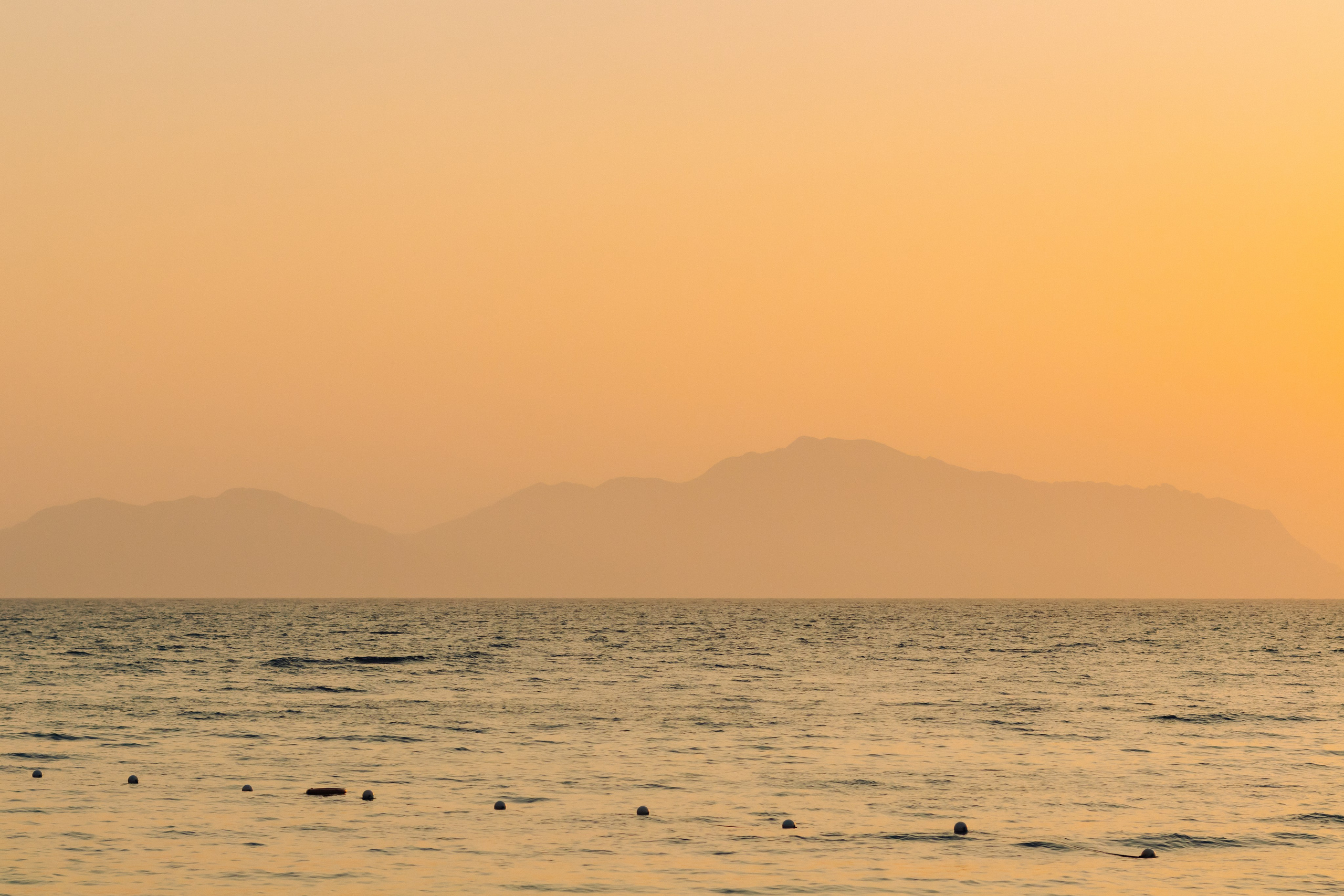 Фотограф Николай Шевченко