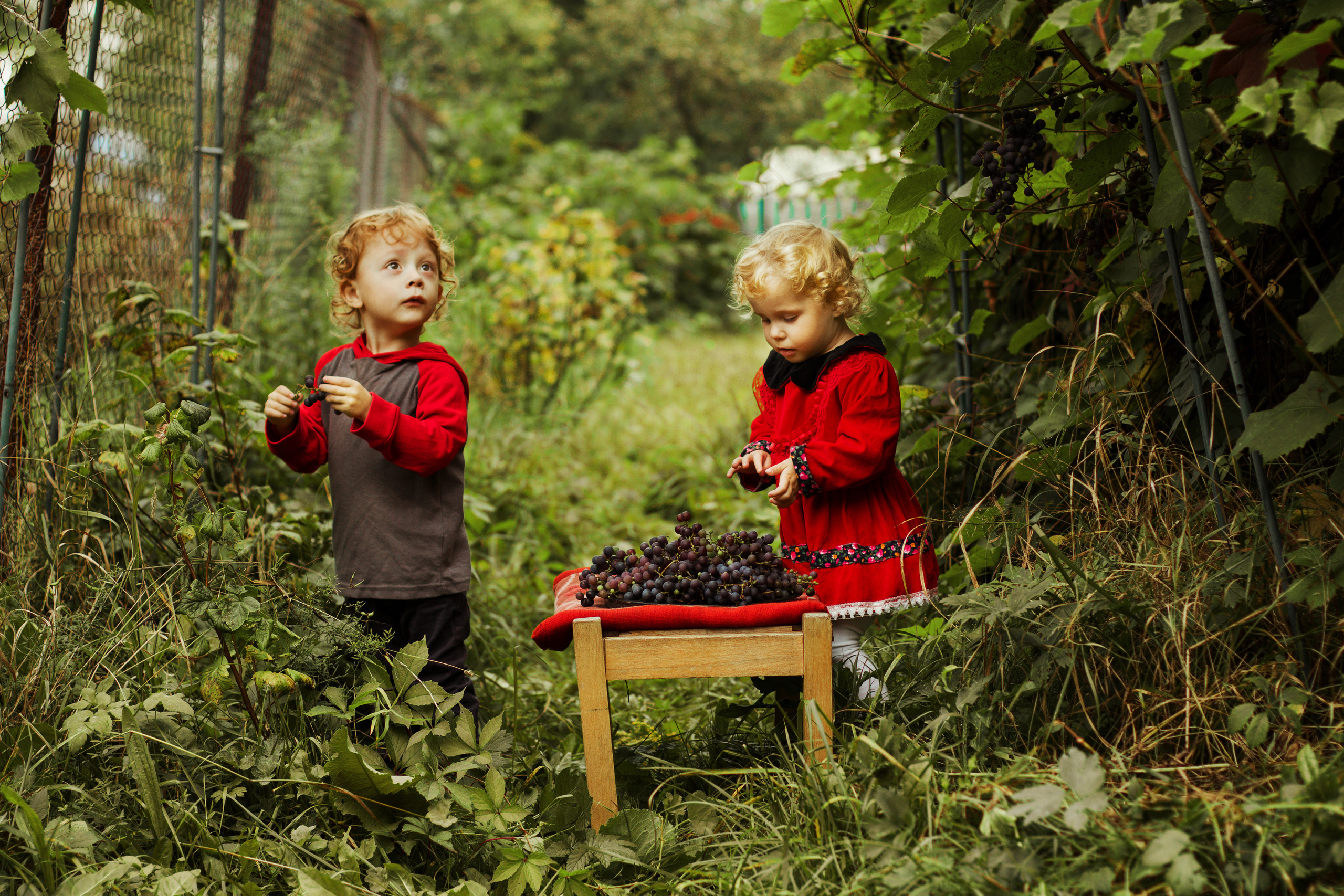 Семейный и детский фотограф в Туле Мухина Юлия