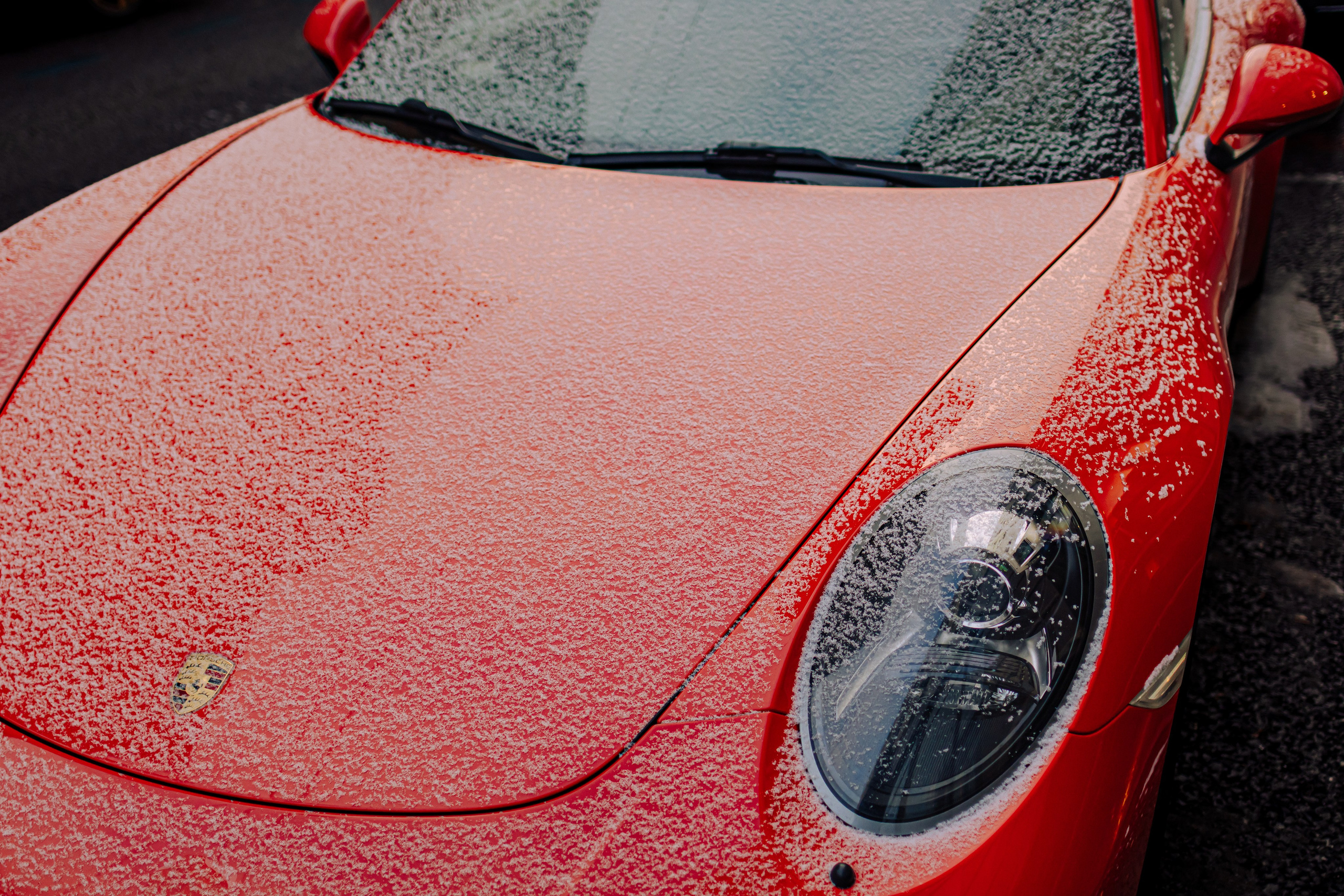 Фотограф Николай Шевченко