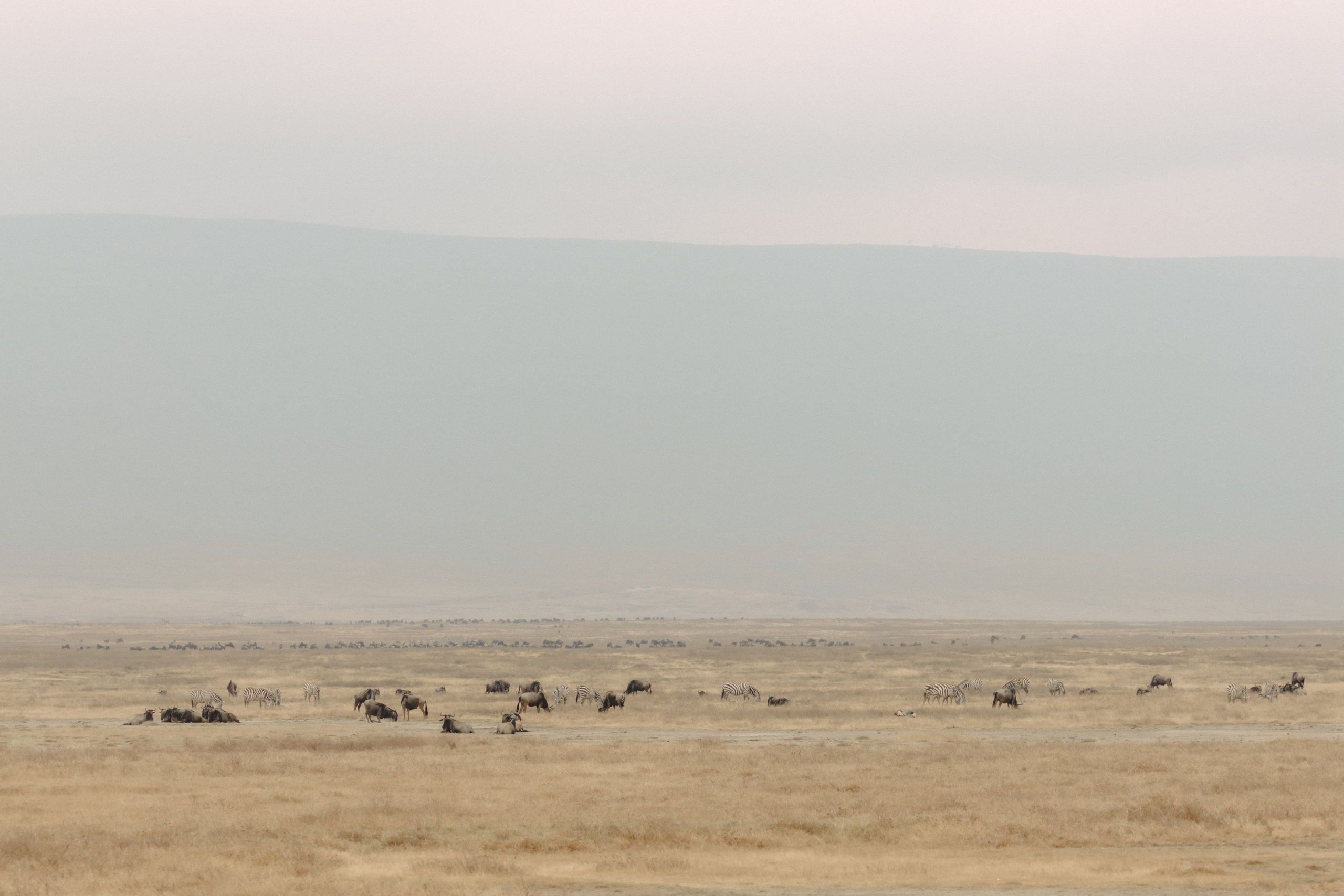 Фотограф Николай Шевченко