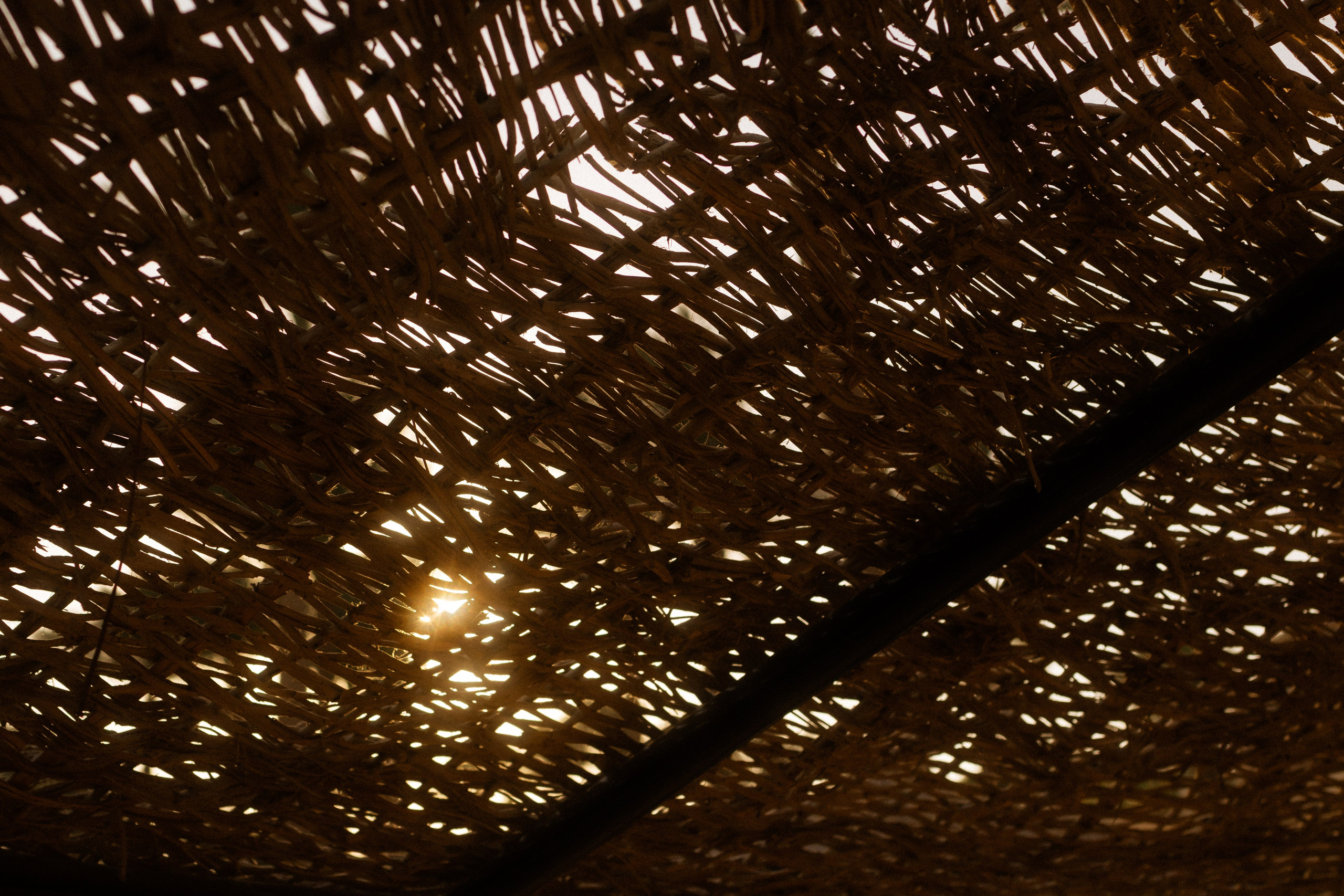 Фотограф Николай Шевченко