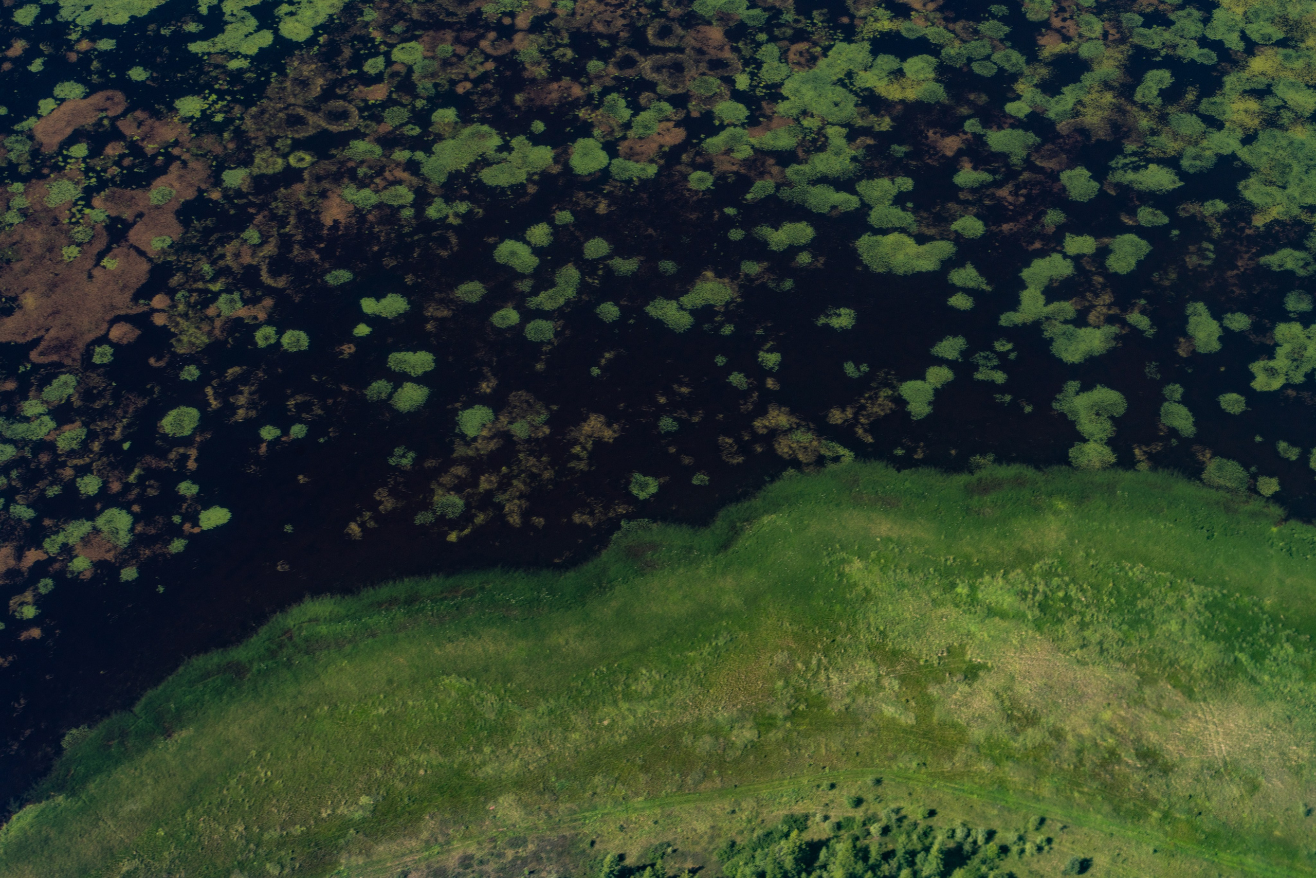 Купить принты. Планета Колыма. Элина Гусарова