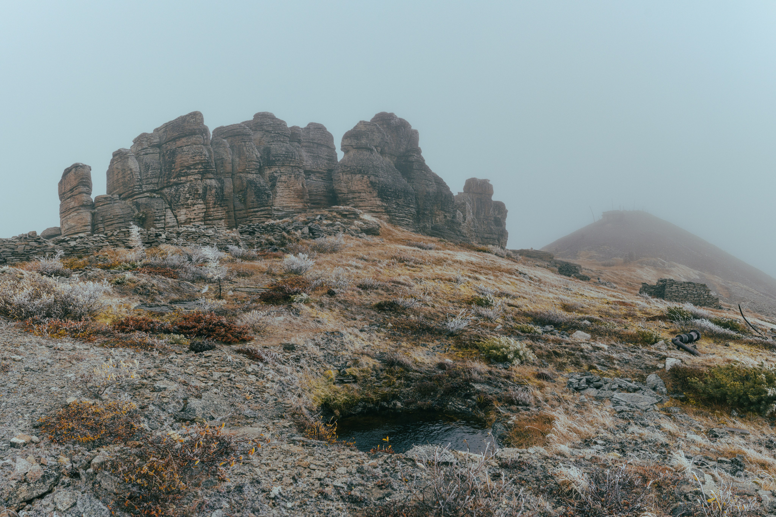 Купить принты. Планета Колыма. Элина Гусарова