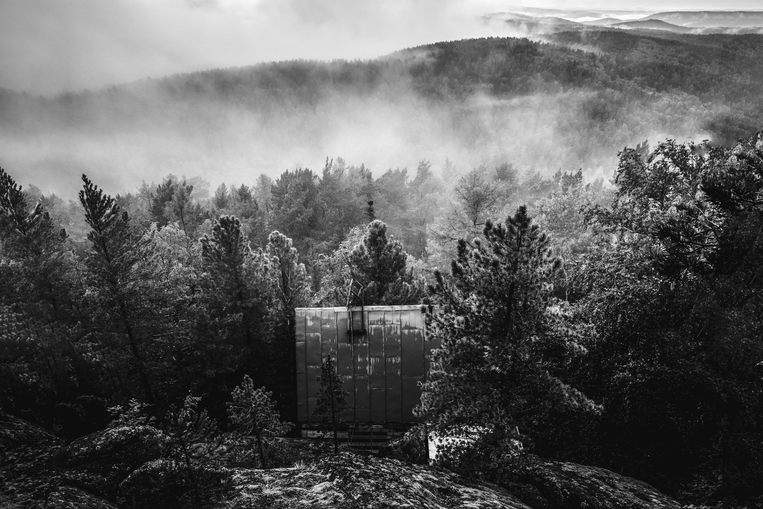 Уродник. Элина Гусарова