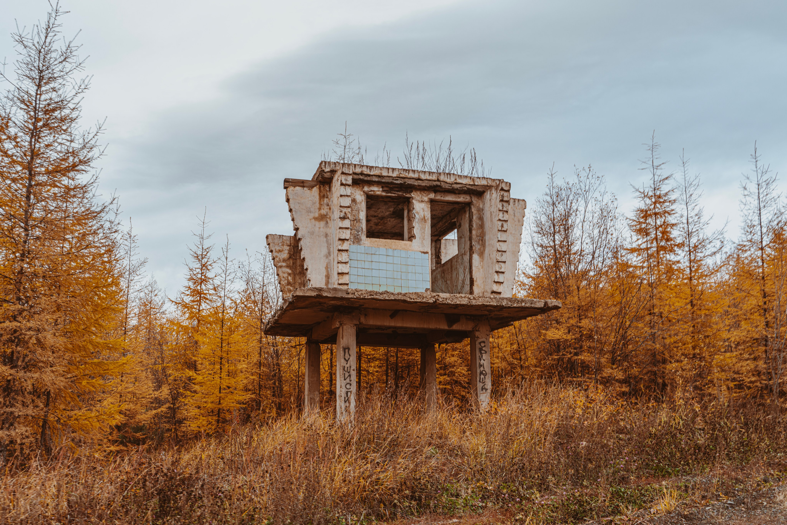 Купить принты. Планета Колыма. Элина Гусарова