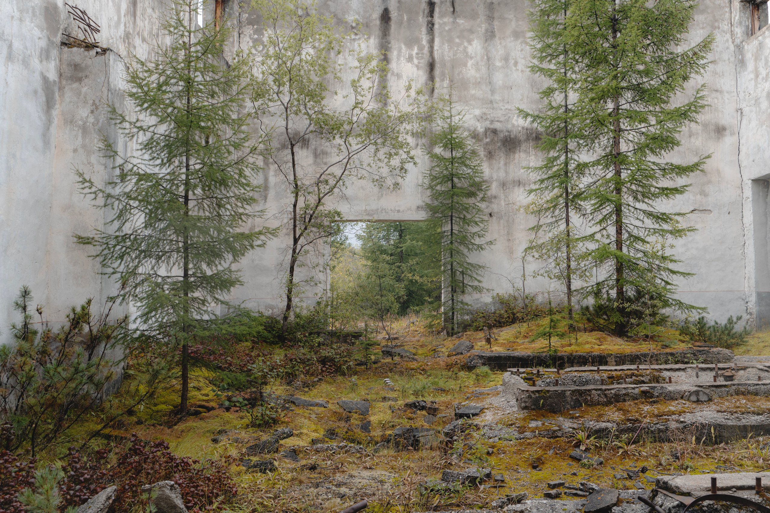 Купить принты. Планета Колыма. Elina Gusarova