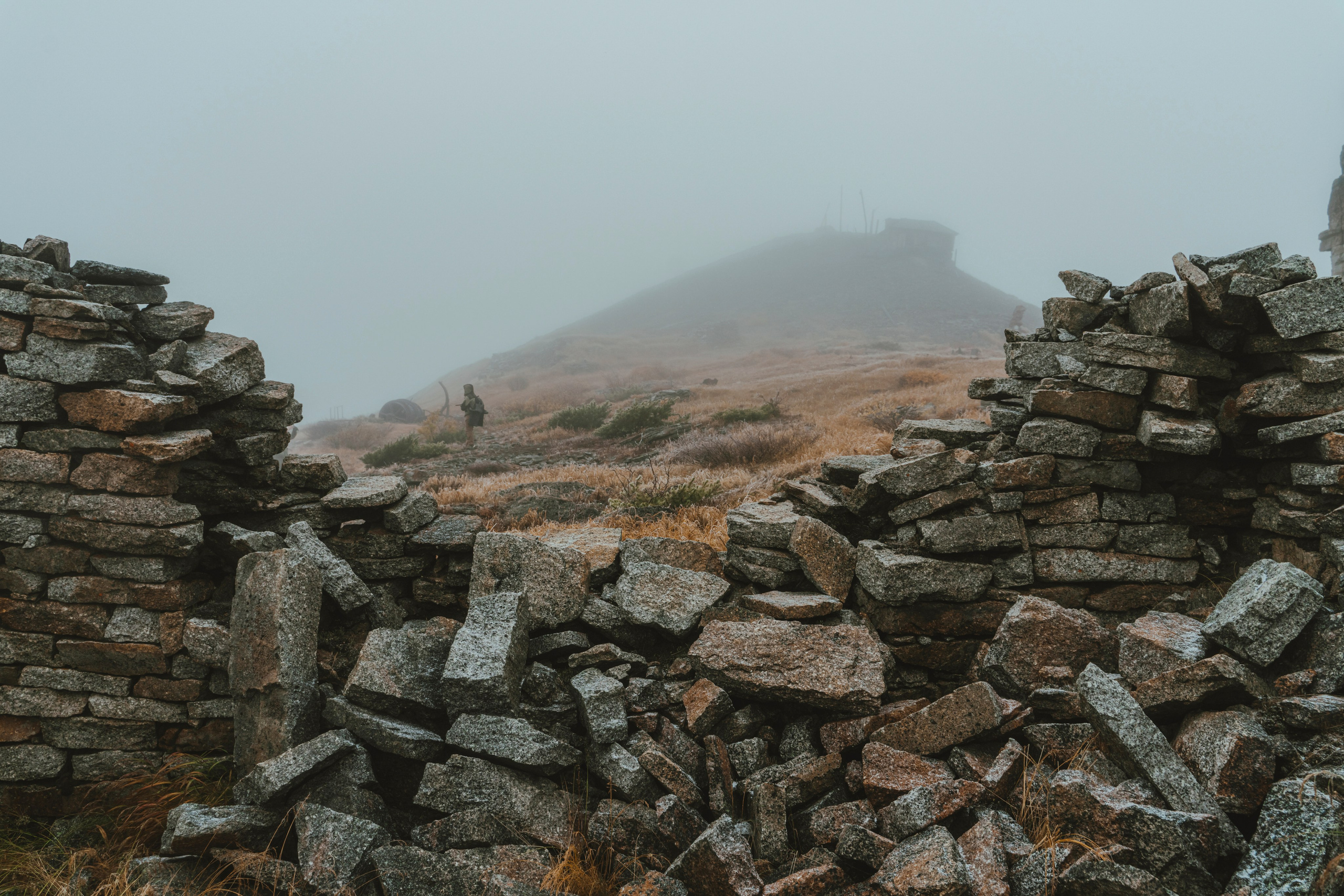 Купить принты. Планета Колыма. Elina Gusarova