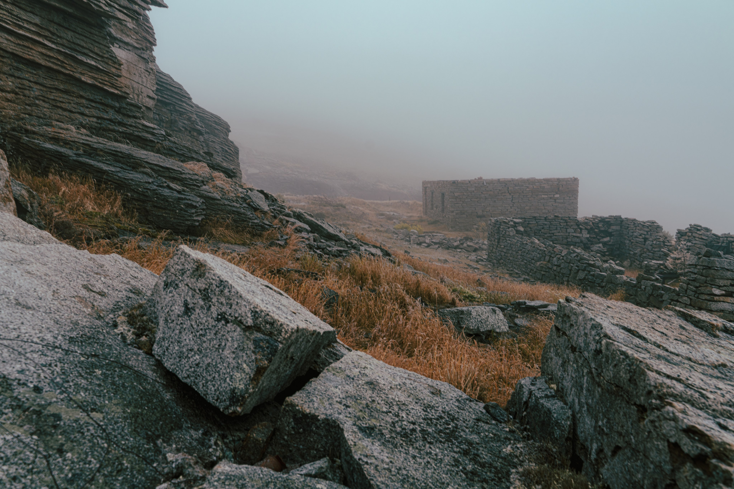 Купить принты. Планета Колыма. Элина Гусарова