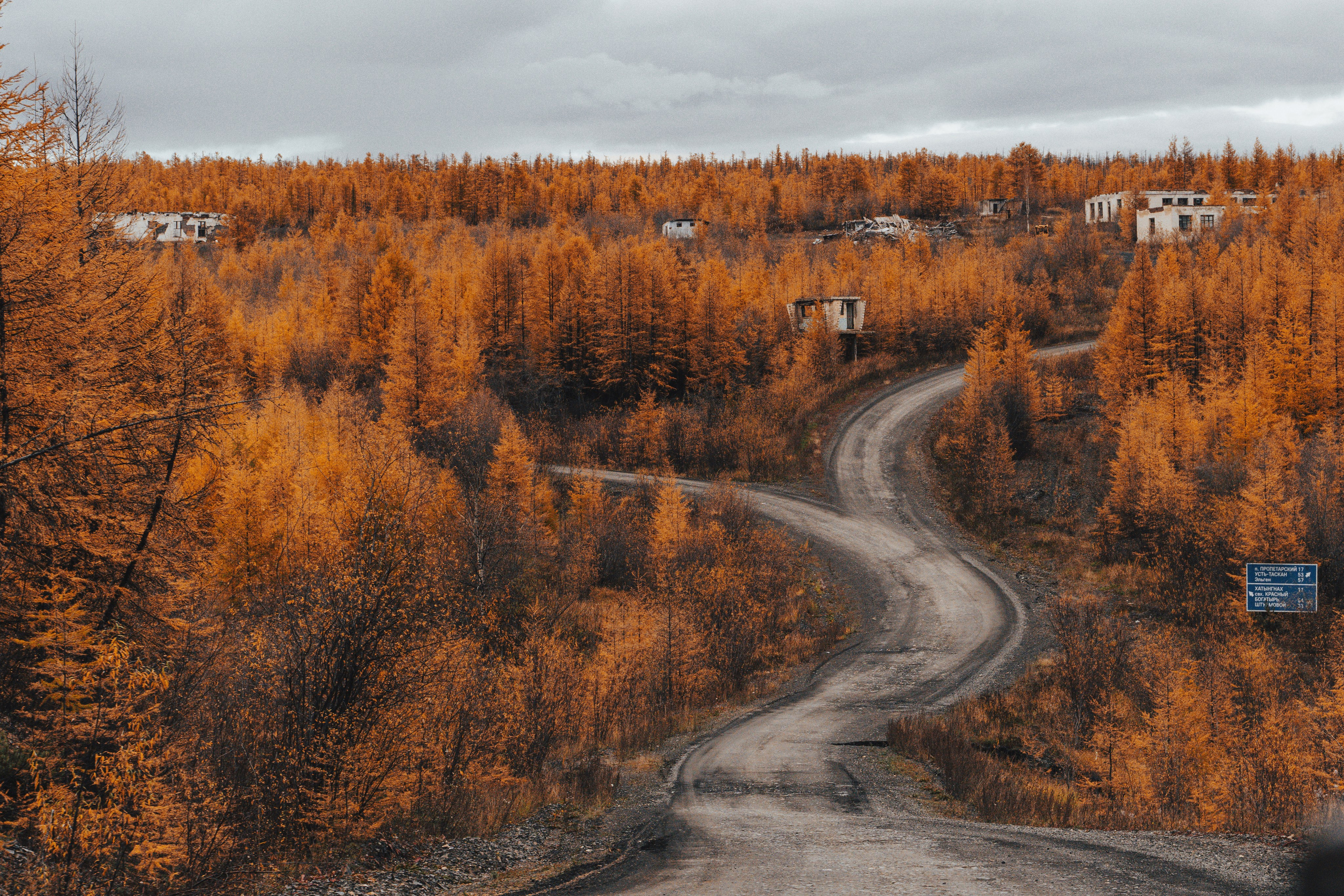 Купить принты. Планета Колыма. Элина Гусарова