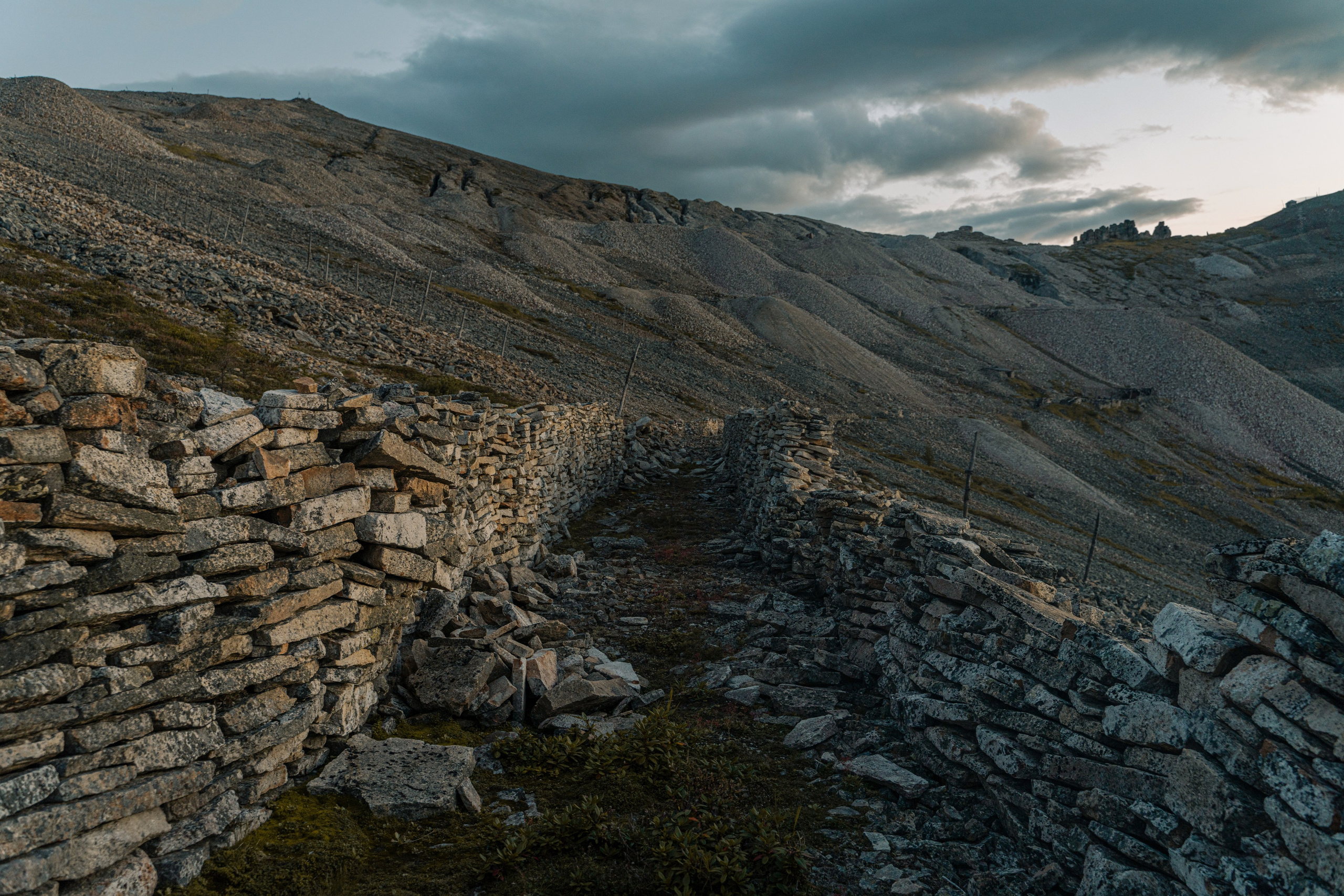 Купить принты. Планета Колыма. Элина Гусарова