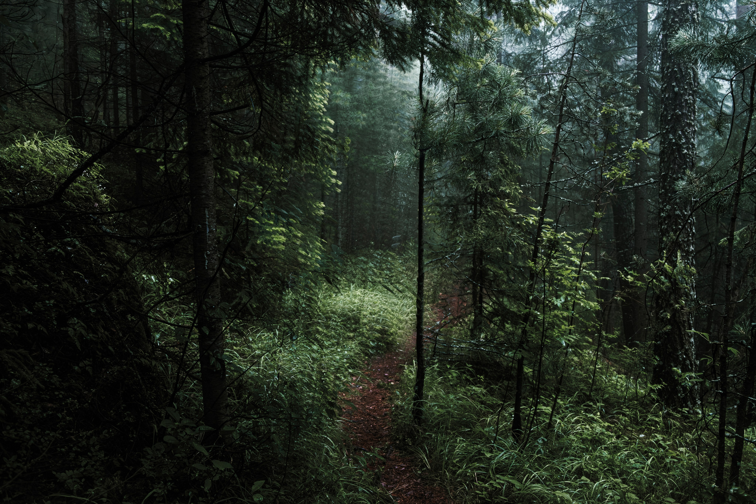 Сбой. Элина Гусарова