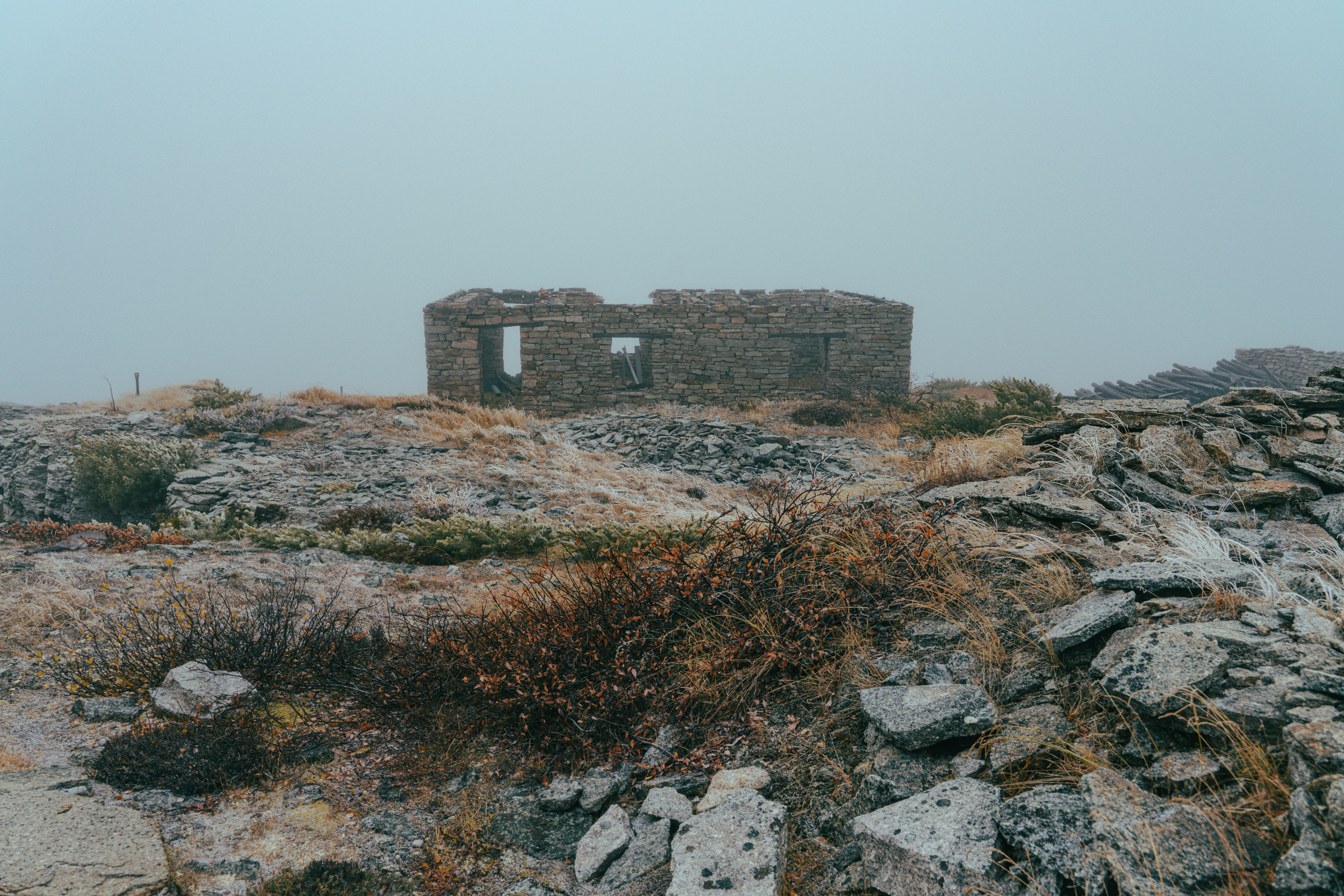 Купить принты. Планета Колыма. Элина Гусарова