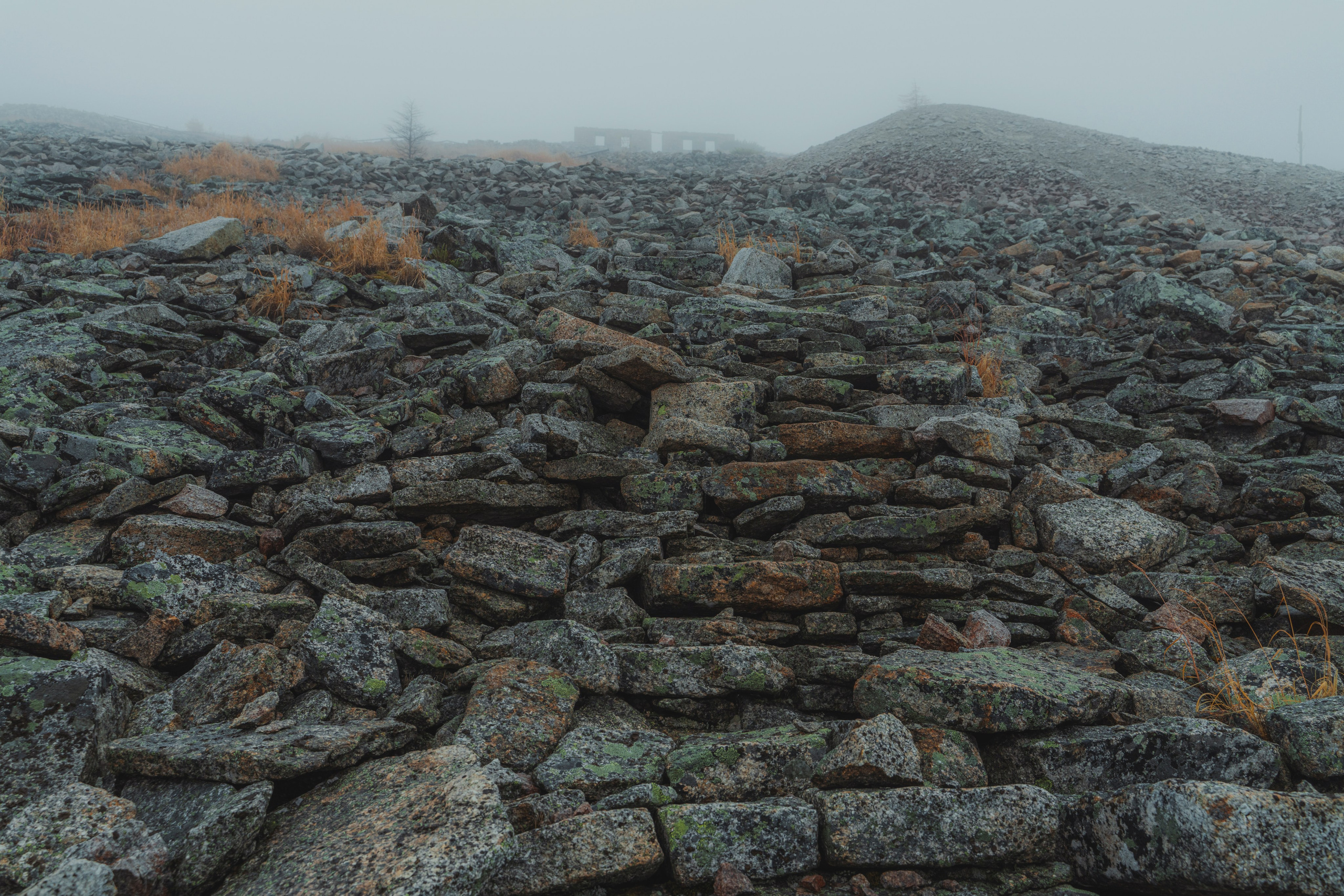 Купить принты. Планета Колыма. Elina Gusarova