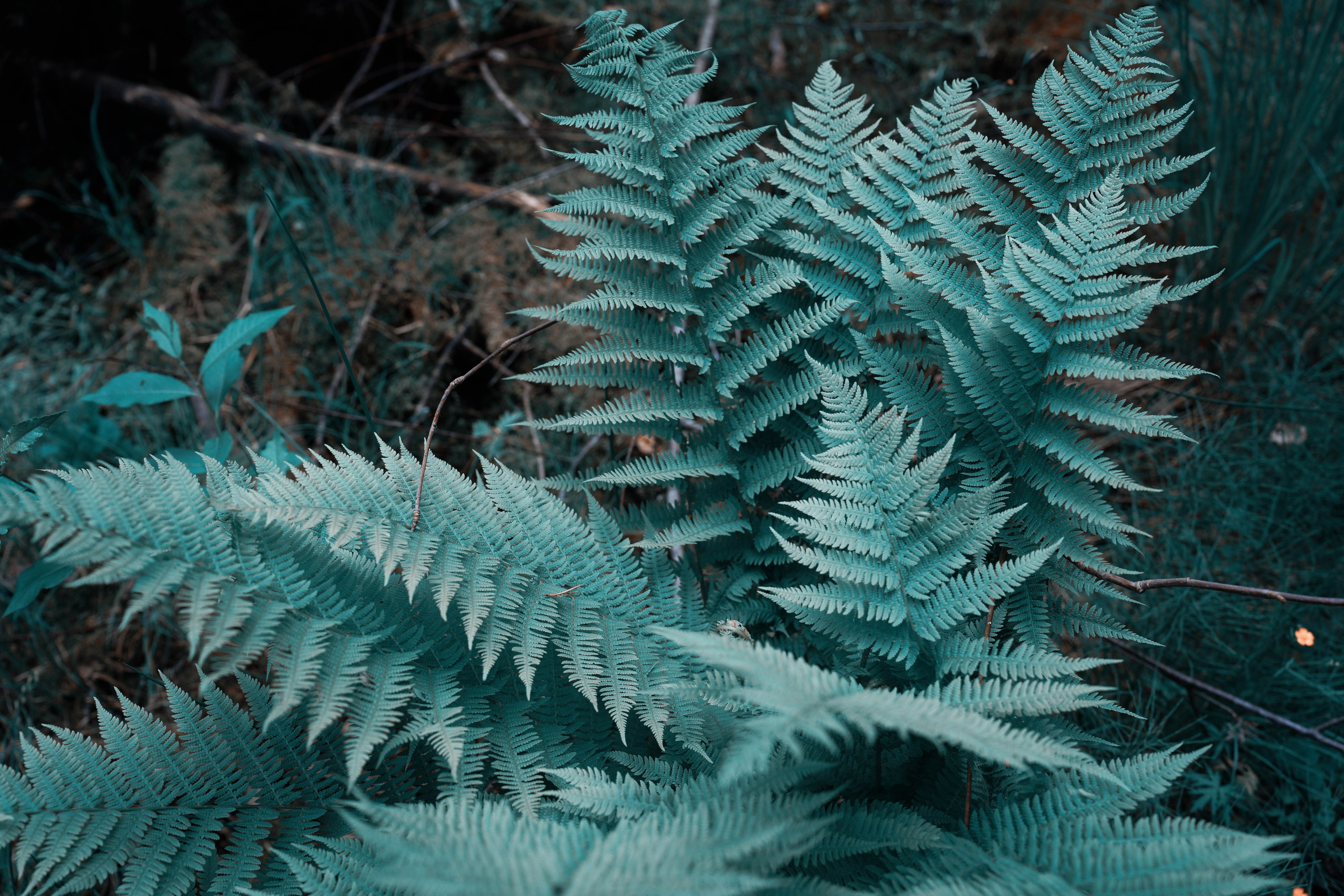 Катя Шиня. Фотограф из Москвы — DASHA NOVA | Авторская фотография в разных жанрах
