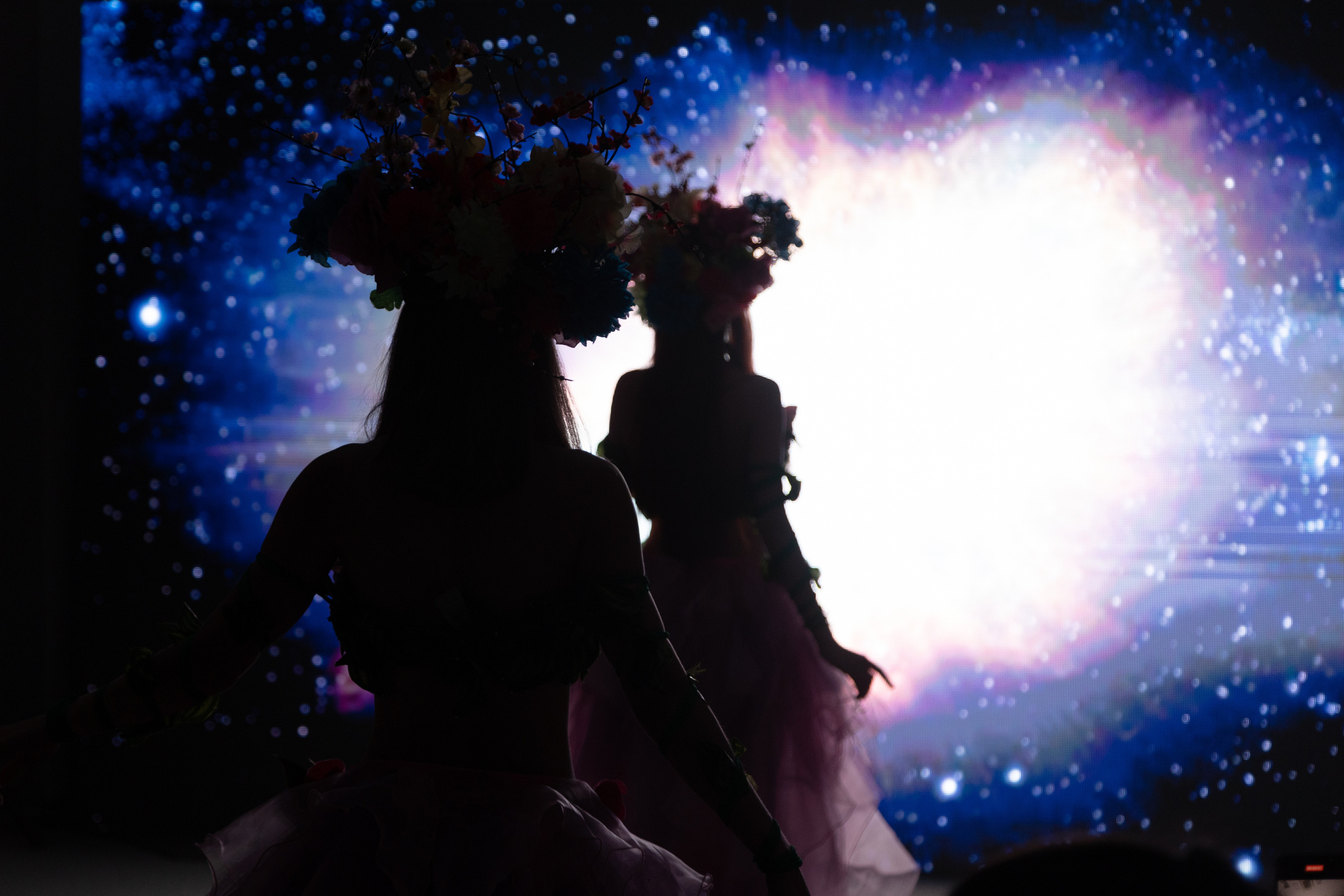 Стоимость услуг. Профессиональный фотограф в Астрахани Оганян Аревик