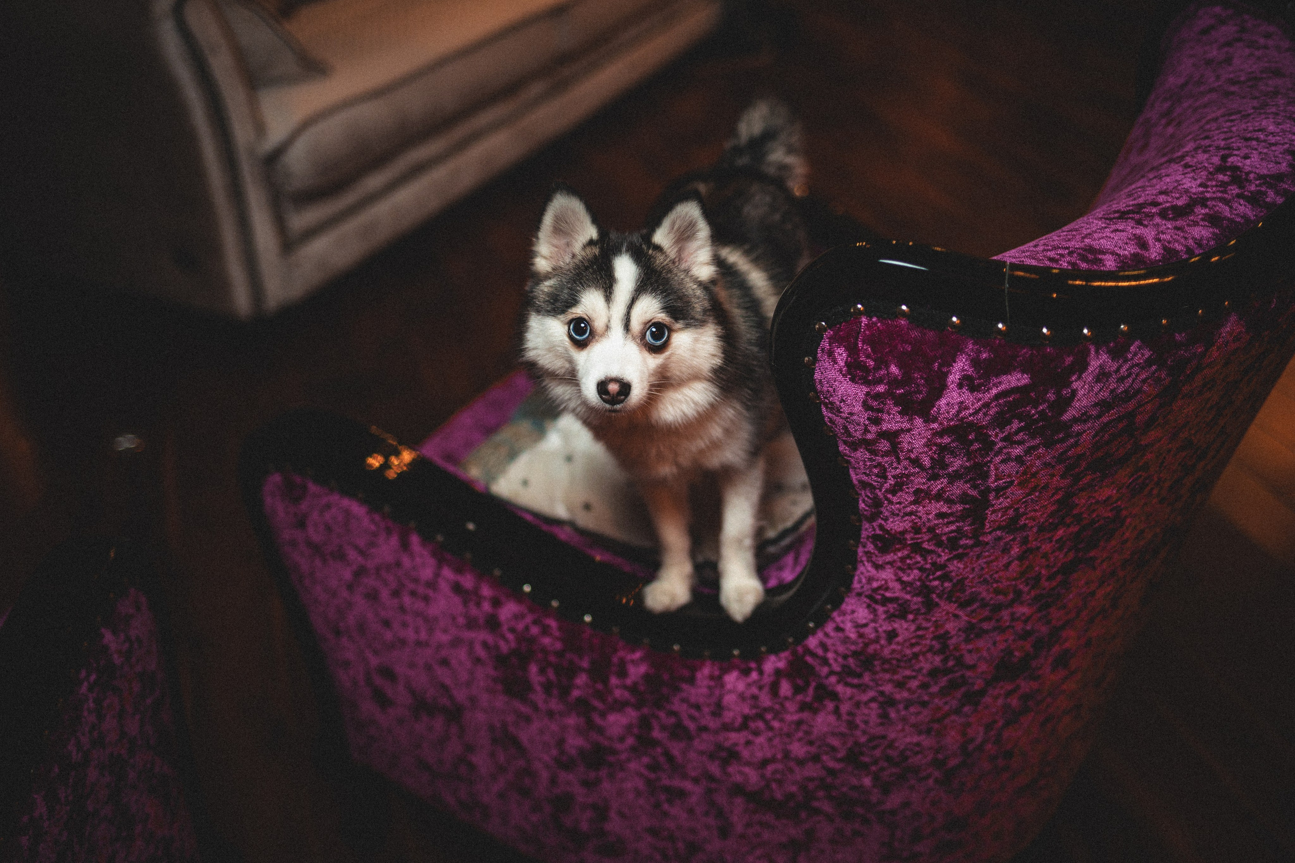 Тоновый контраст — что это и зачем?