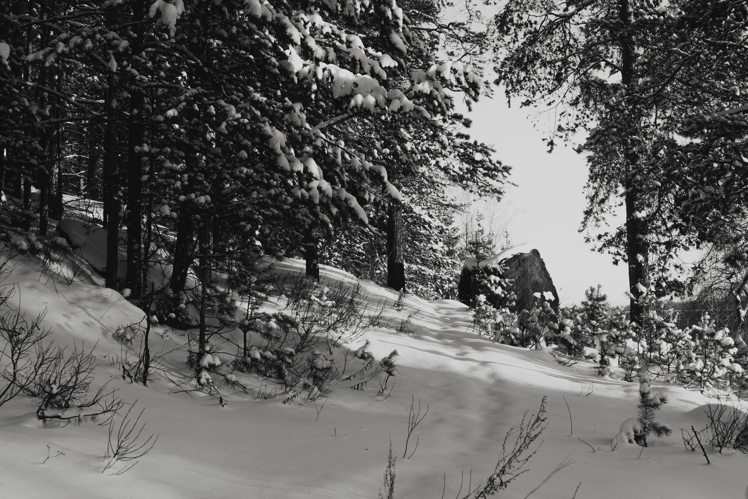 Денис Марков. URAL REPORTER