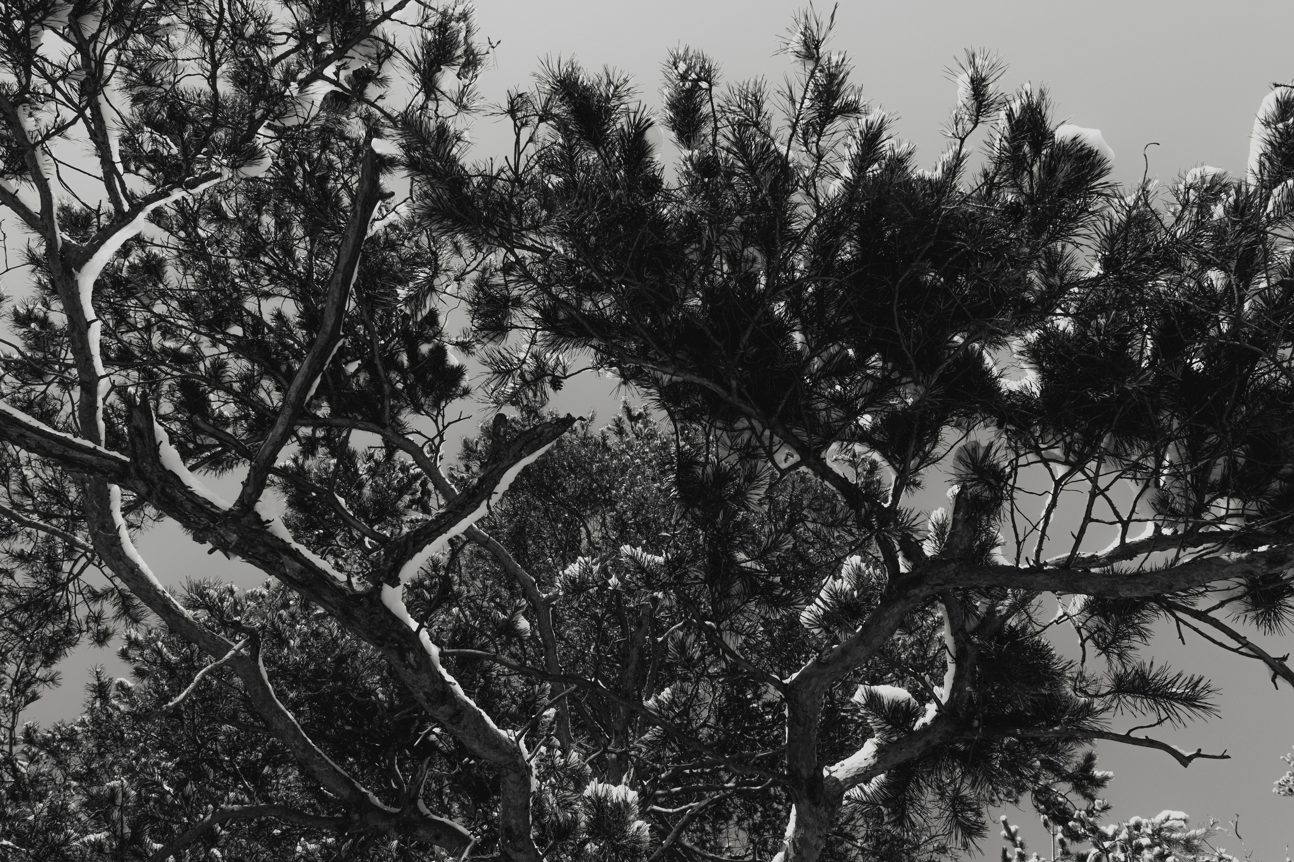 Денис Марков. URAL REPORTER